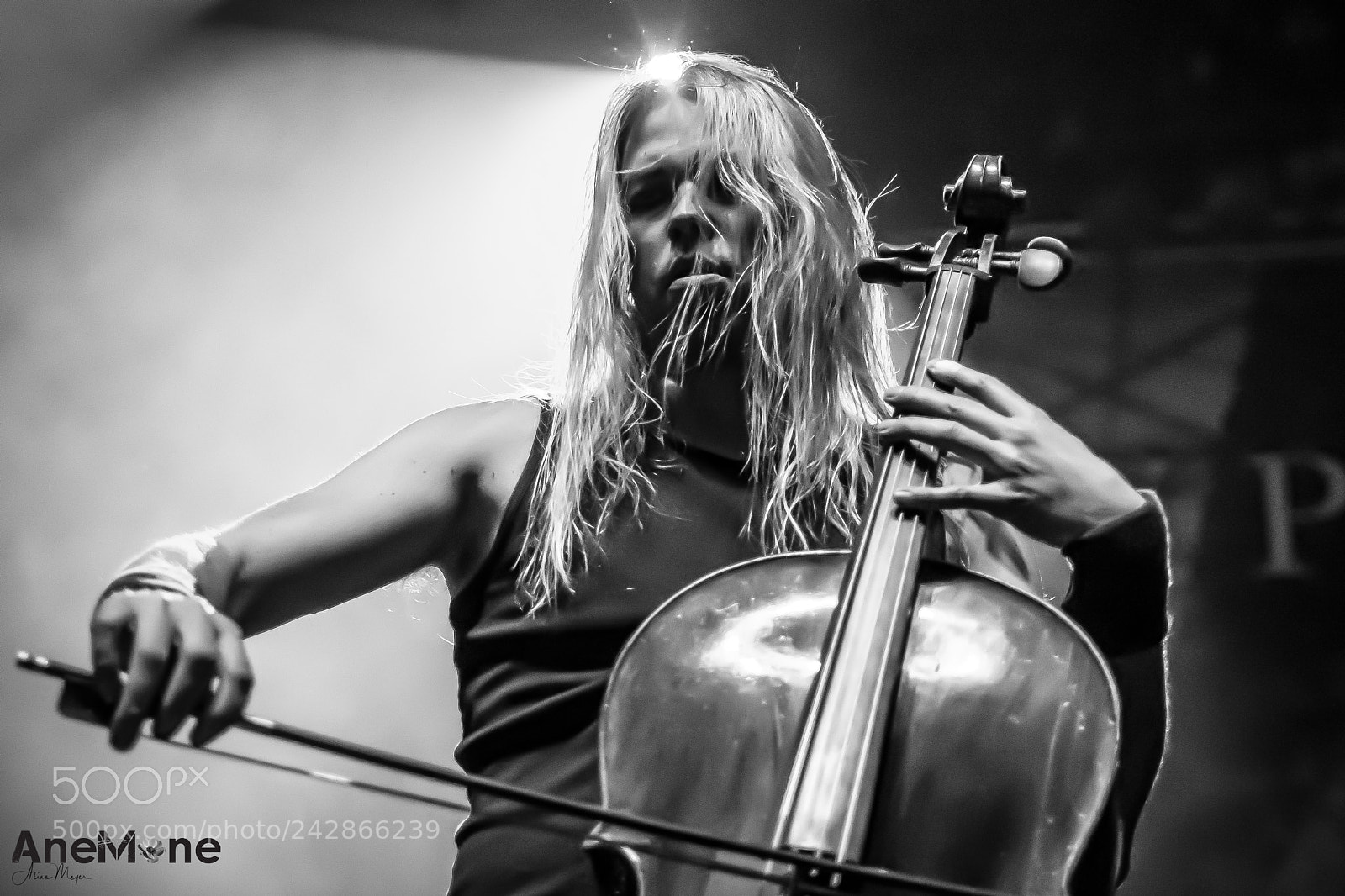 Canon EOS-1D X sample photo. Apocalyptica photography