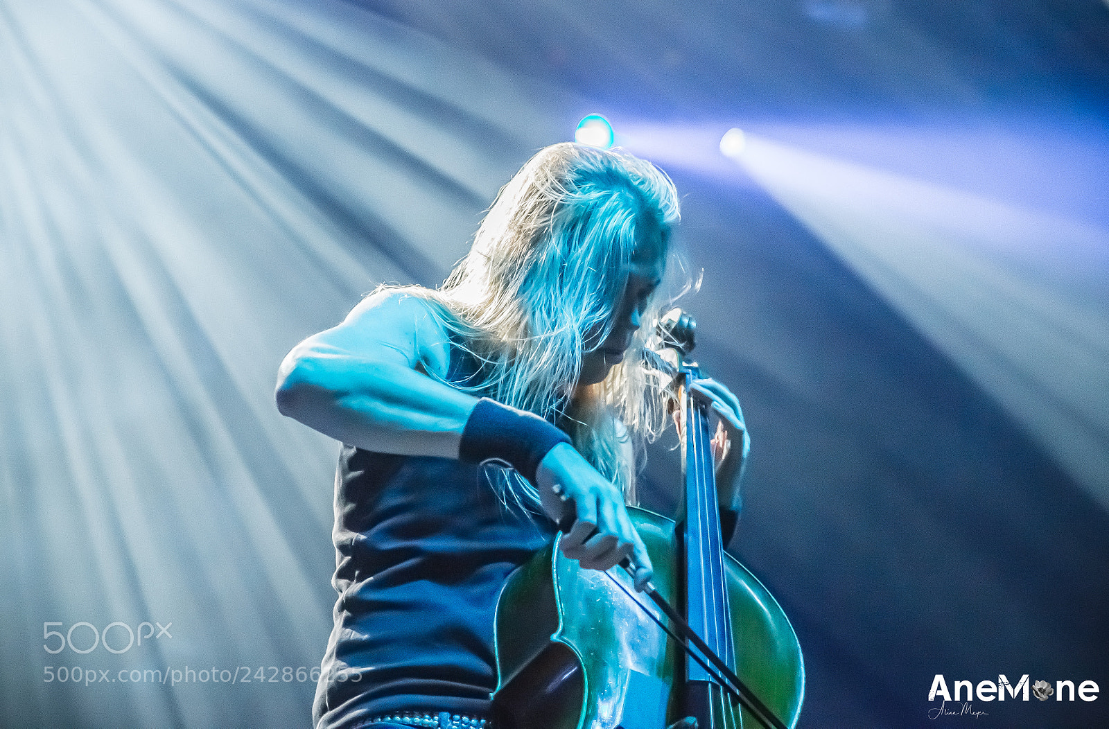 Canon EOS-1D X sample photo. Apocalyptica photography