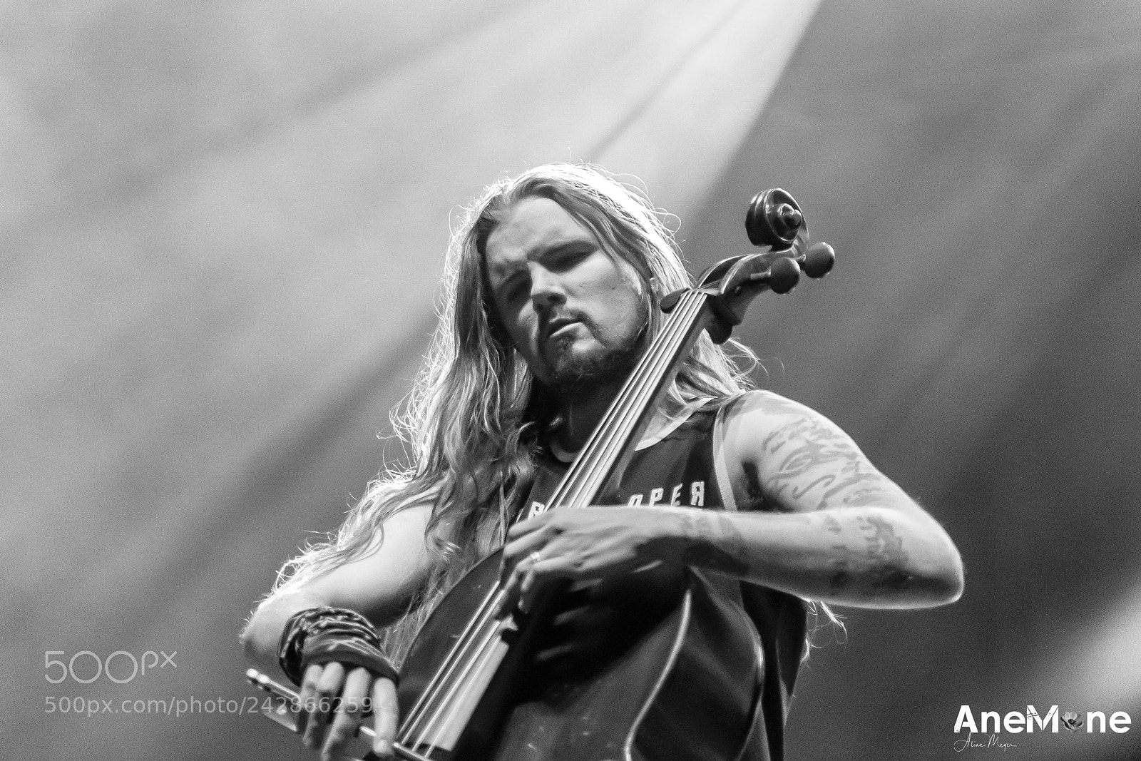 Canon EOS-1D X sample photo. Apocalyptica photography