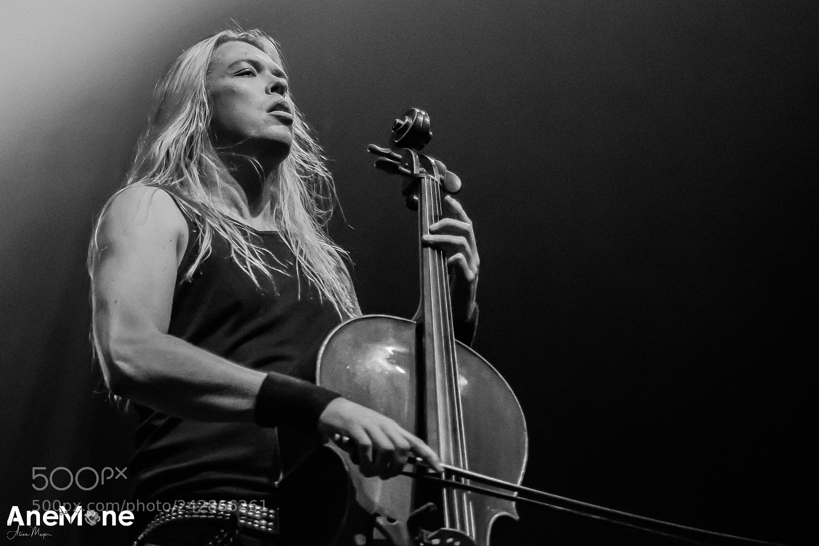 Canon EOS-1D X sample photo. Apocalyptica photography