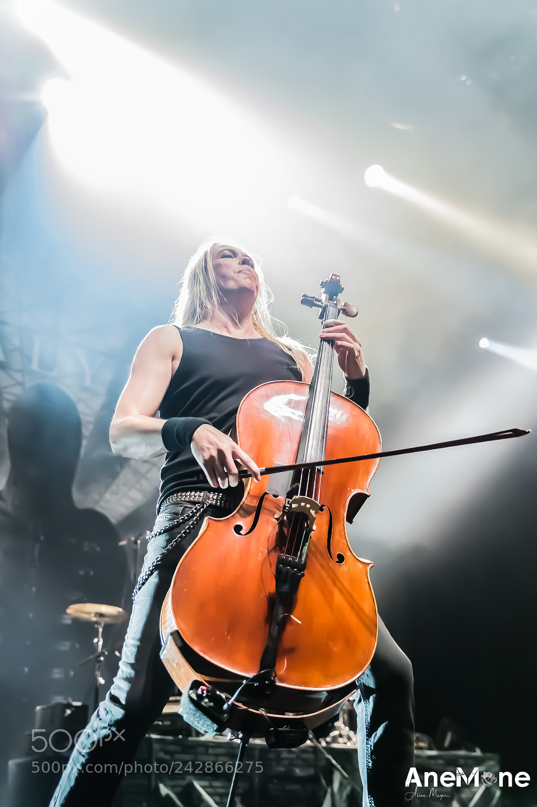 Canon EOS-1D X sample photo. Apocalyptica photography