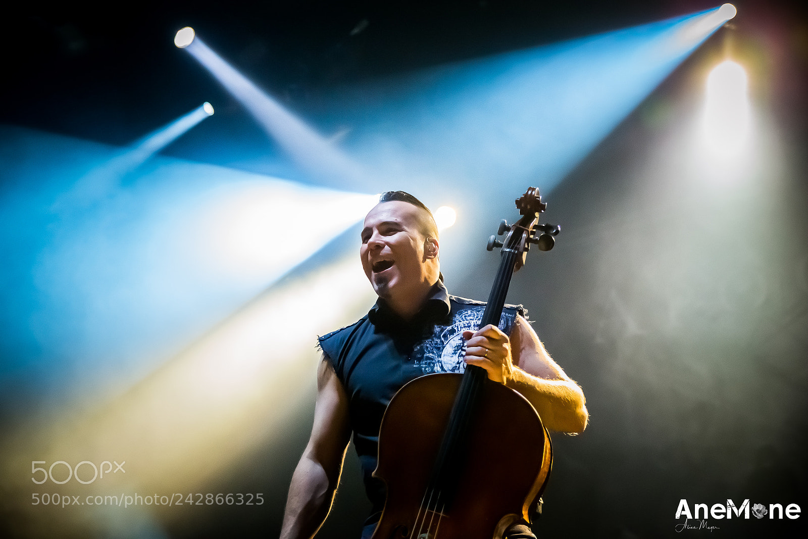 Canon EOS-1D X sample photo. Apocalyptica photography