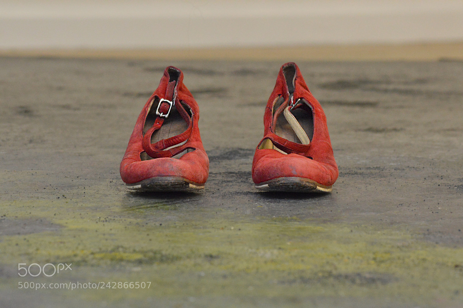 Nikon D3200 sample photo. Used red shoes photography