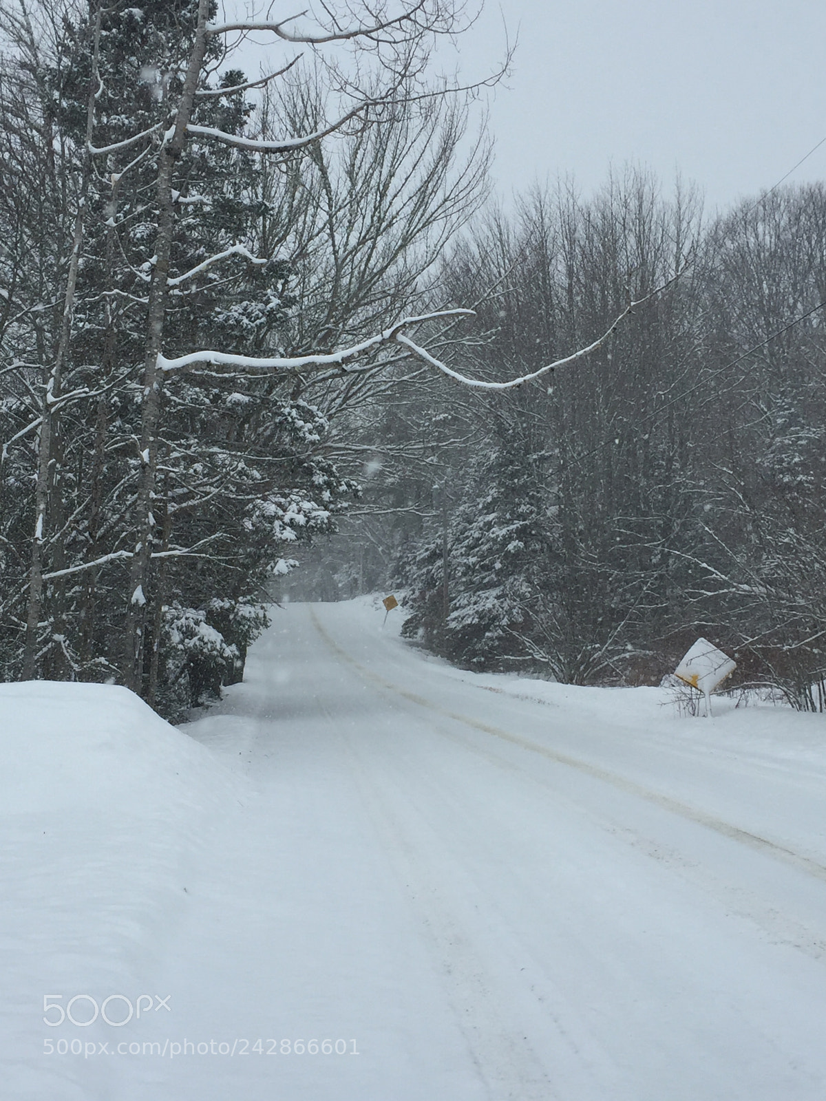 Apple iPhone 6 sample photo. Snowing in maine photography