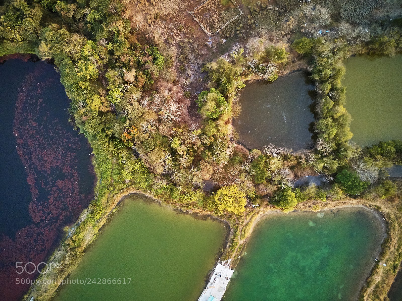 DJI FC220 sample photo. Bride's pool photography