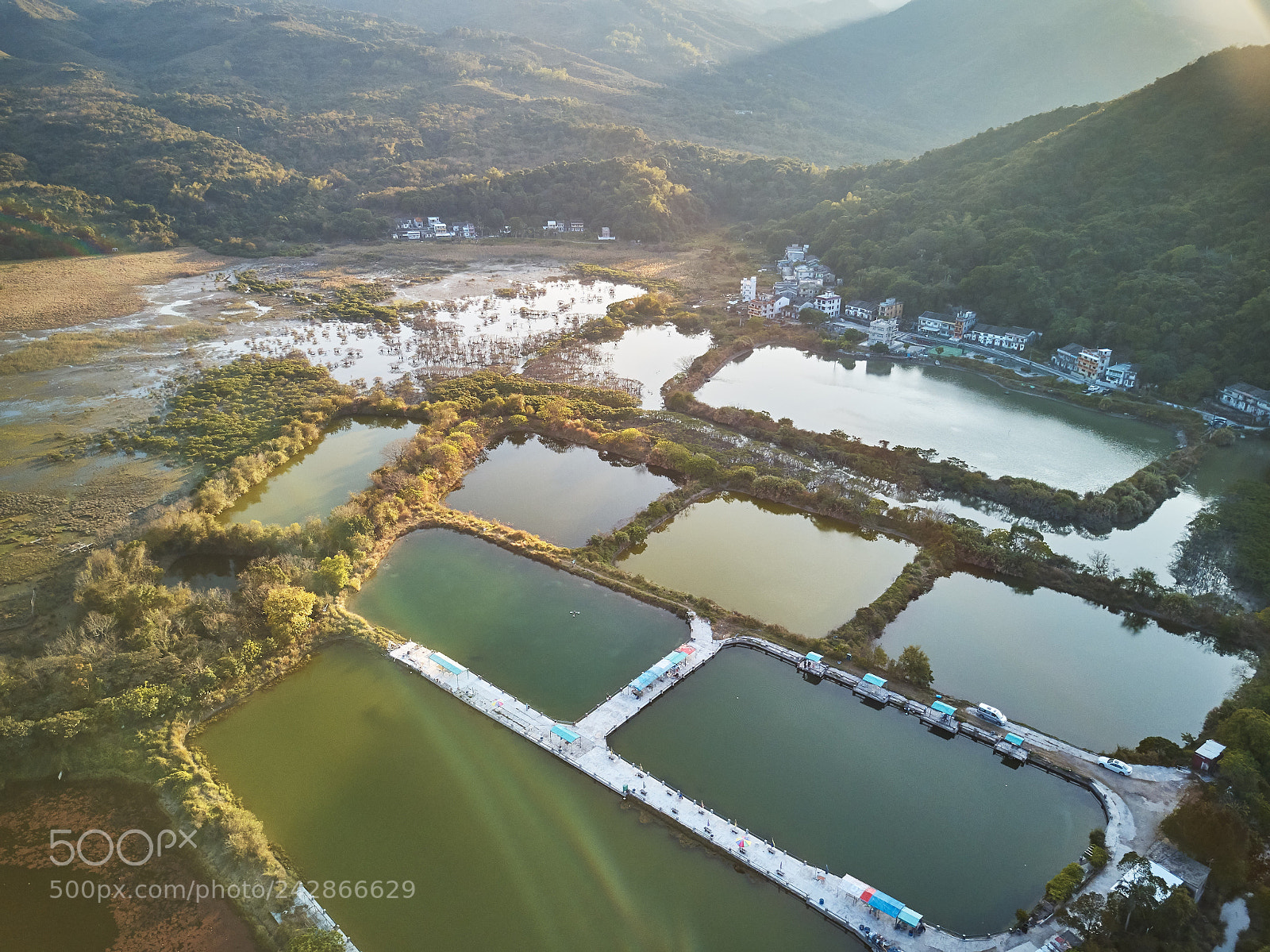 DJI FC220 sample photo. Bride's pool photography