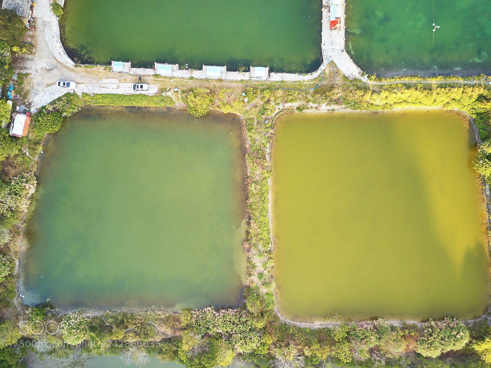DJI FC220 sample photo. Bride's pool photography
