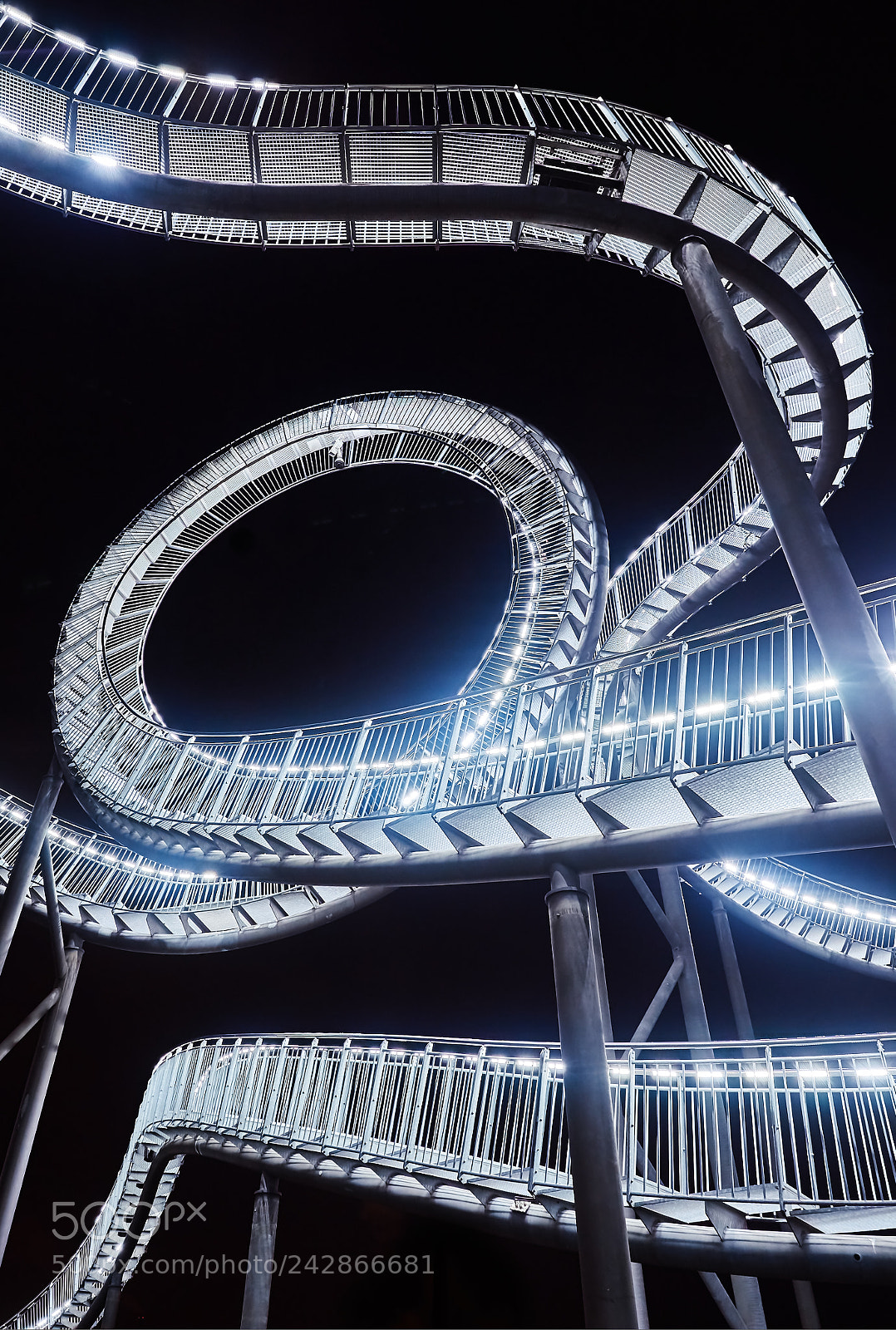 Sony SLT-A57 sample photo. Tiger and turtle duisburg photography