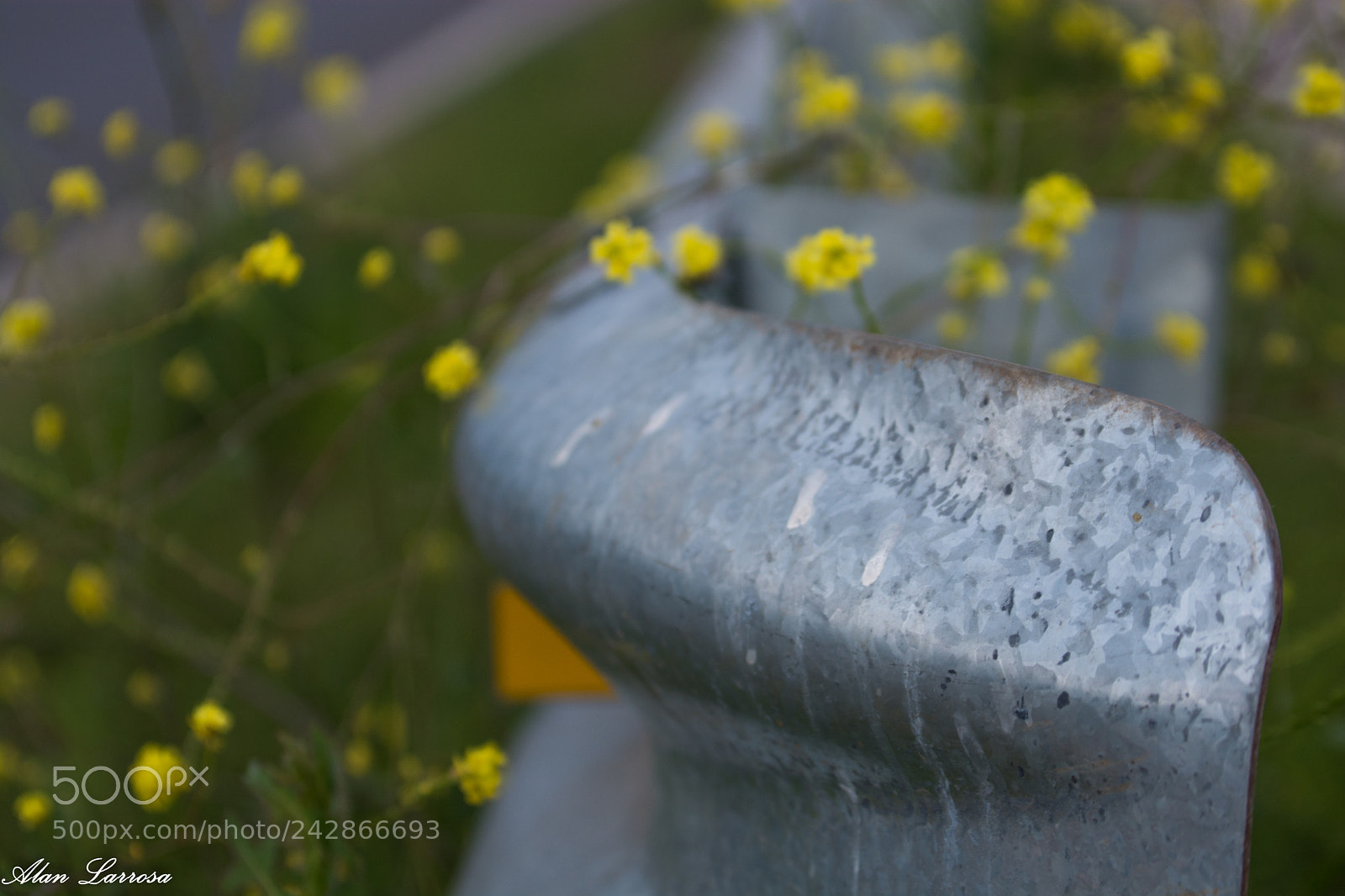 Nikon D7100 sample photo. Dsc photography