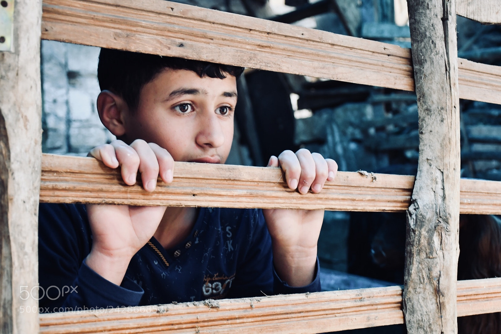 Nikon D7500 sample photo. Fences photography