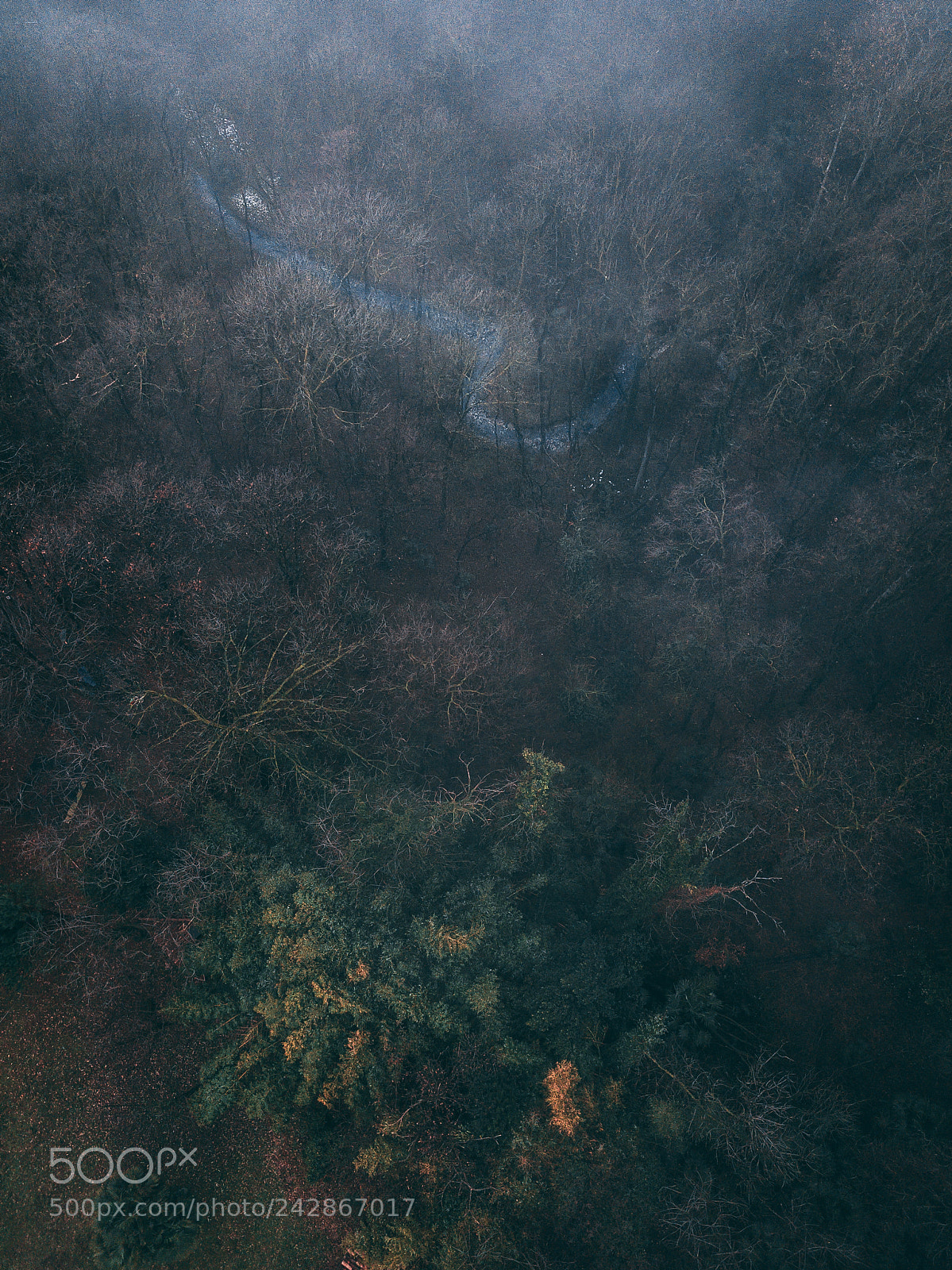 DJI FC220 sample photo. Fog photography