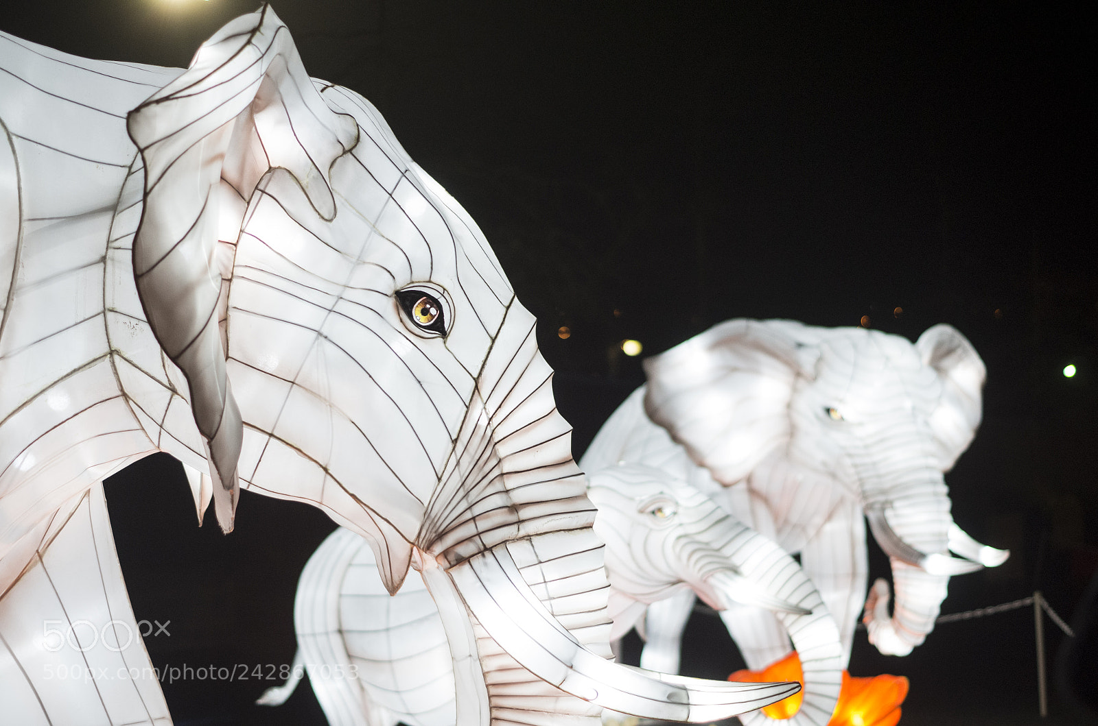 Pentax K-30 sample photo. Lantern festival photography