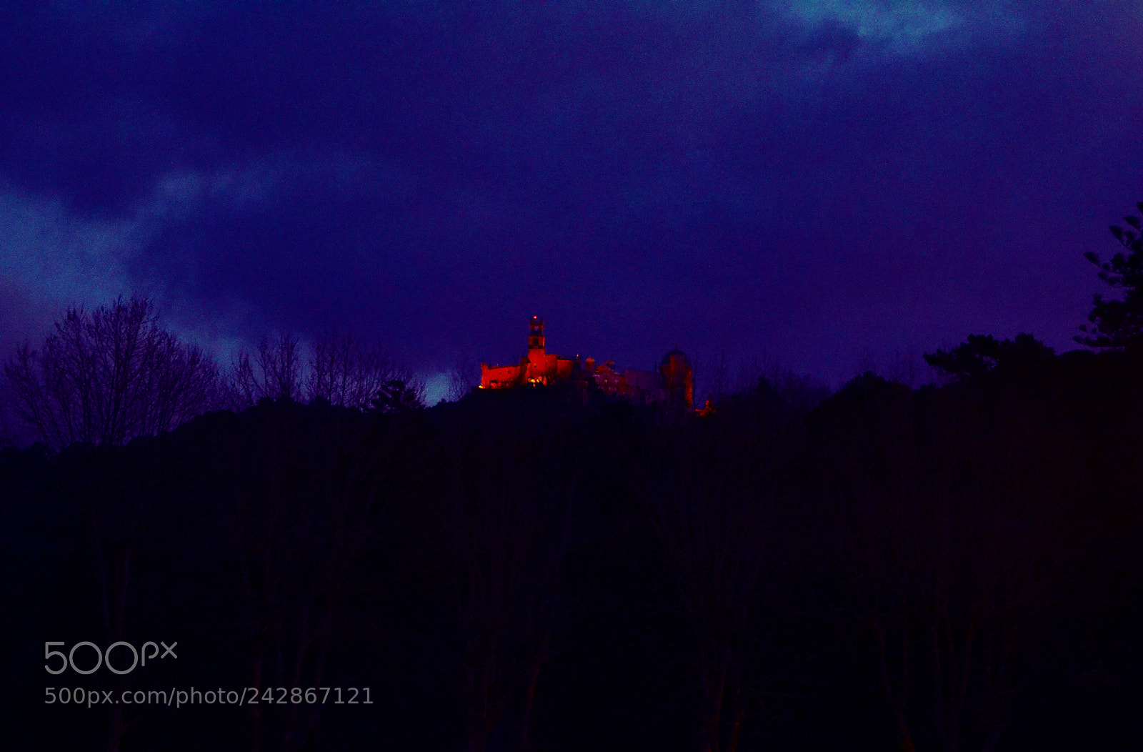 Nikon D3100 sample photo. Palacio da pena. sintra photography