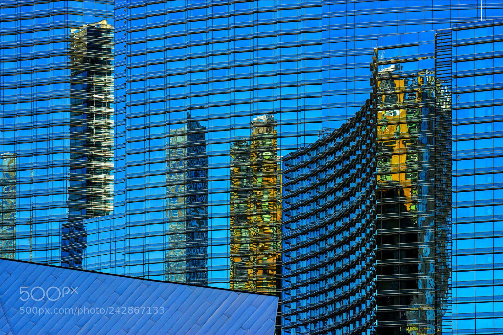 Nikon D800 sample photo. In blue photography