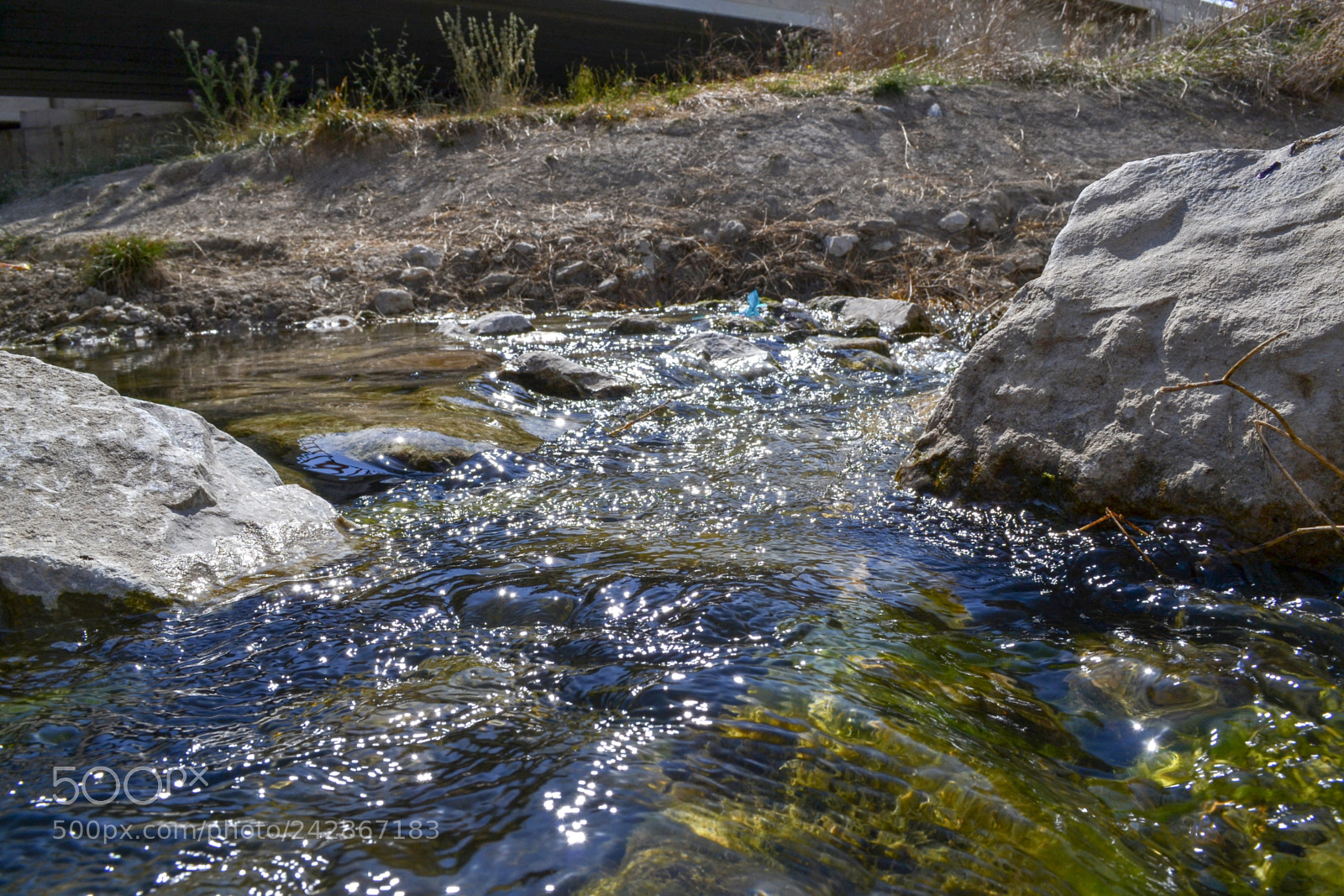 Nikon D3100 sample photo. Tiny stream photography