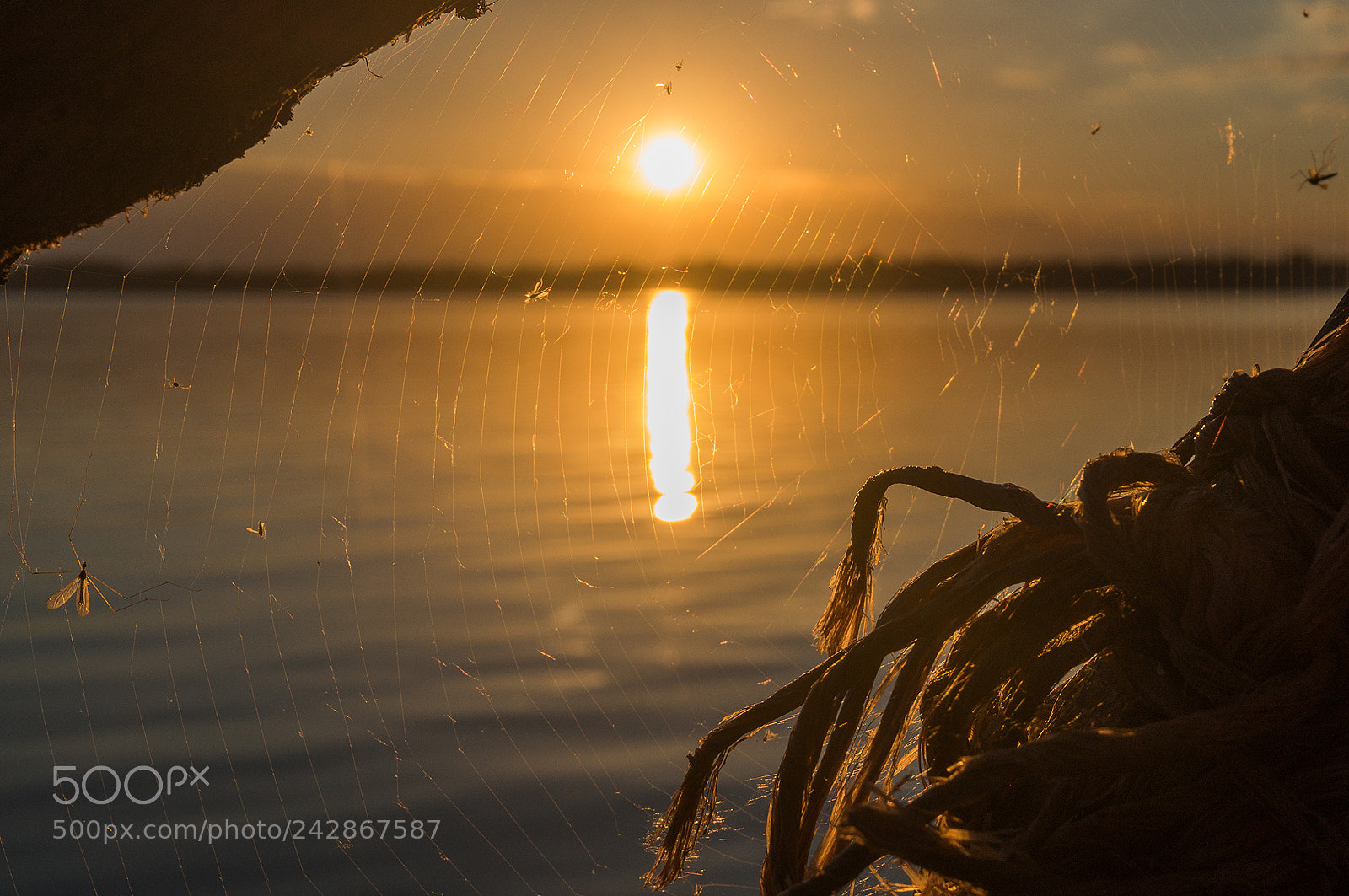 Sony Alpha NEX-3N sample photo. 35388229956.jpg photography