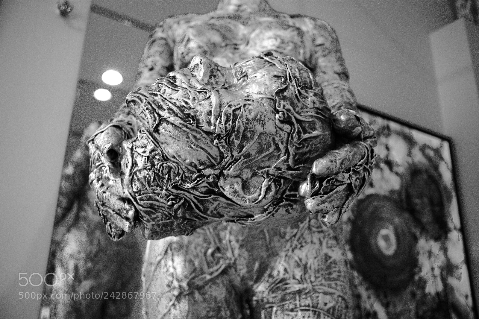 Nikon D7100 sample photo. Beheaded photography