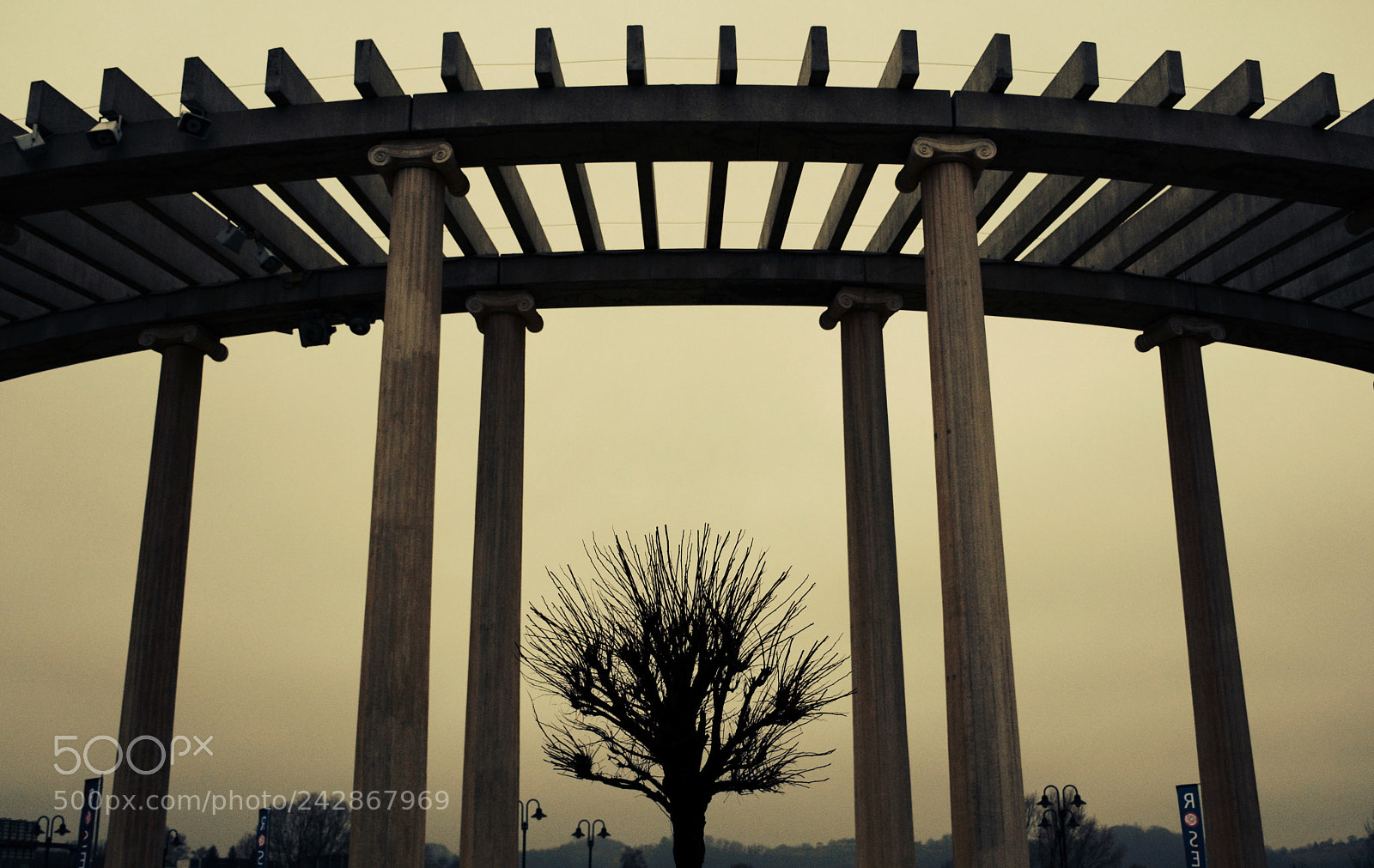 Nikon D7100 sample photo. Symmetry in art and photography