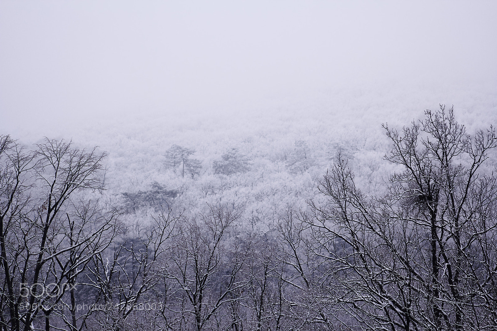 Canon EOS 60D sample photo. Cleansing photography