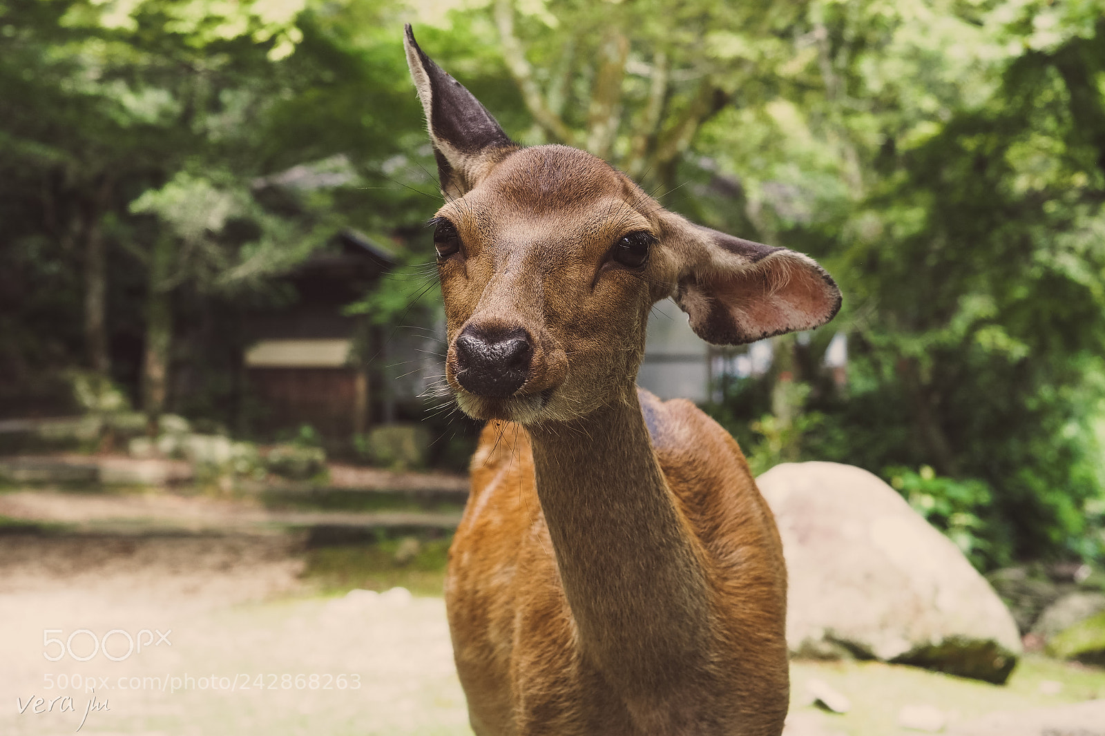 Olympus OM-D E-M5 sample photo. 37283229262.jpg photography