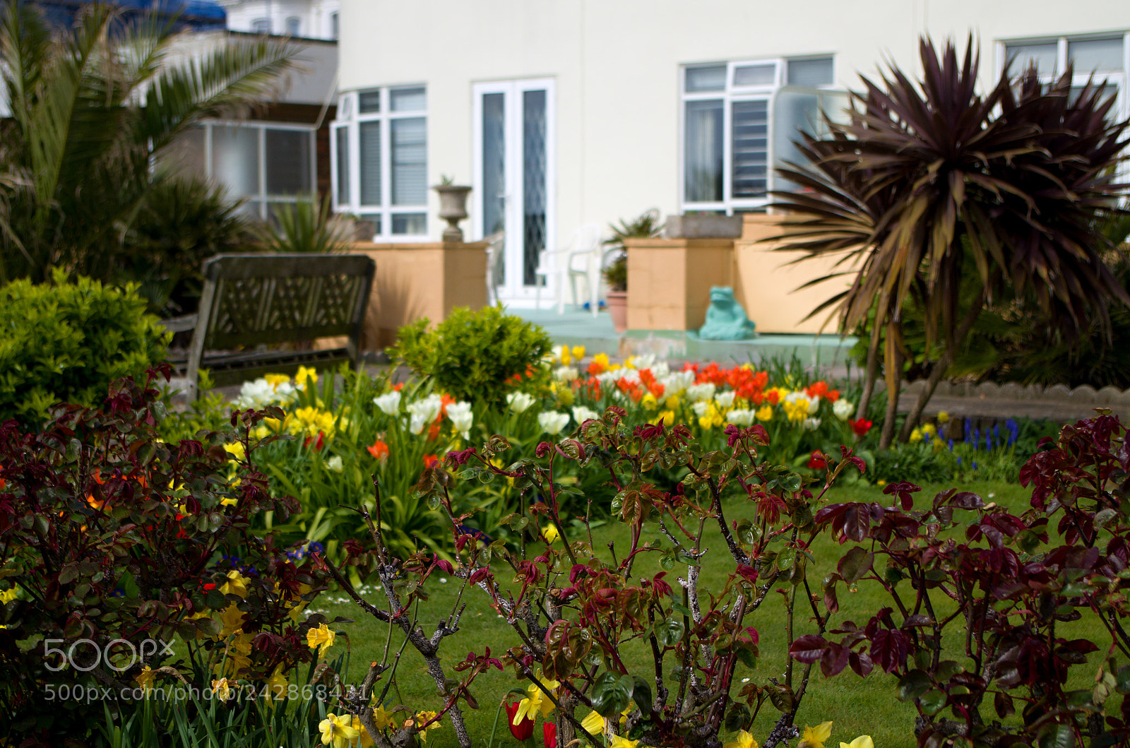 Pentax K-50 sample photo. Garden photography