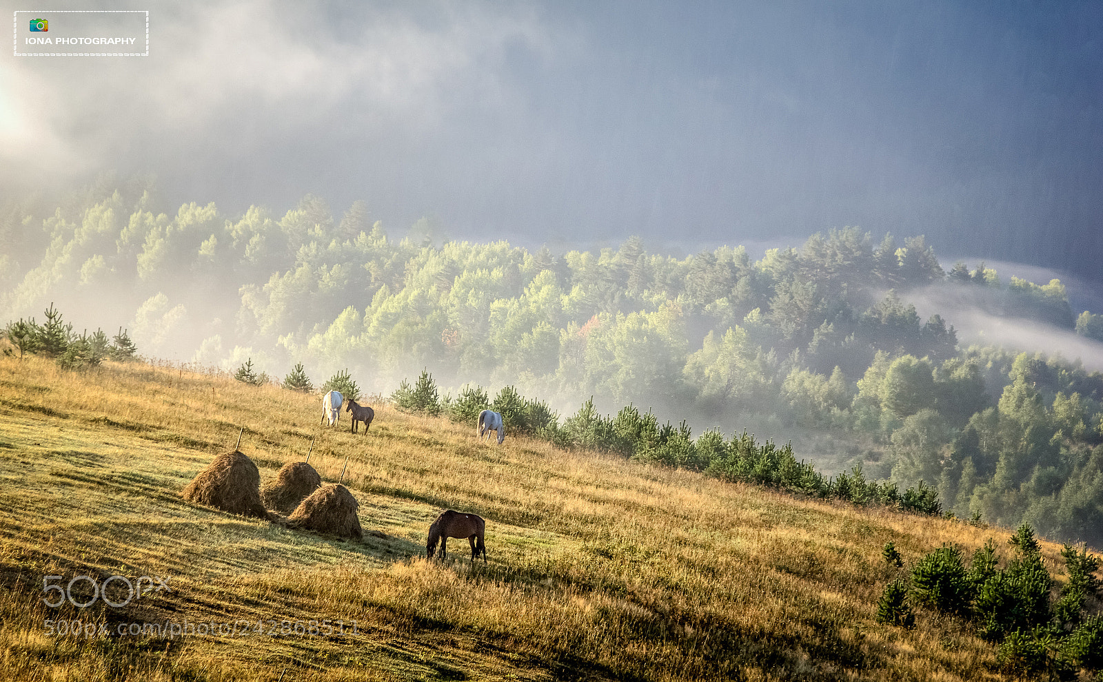 Canon EOS 60D sample photo. Tusheti, omalo photography