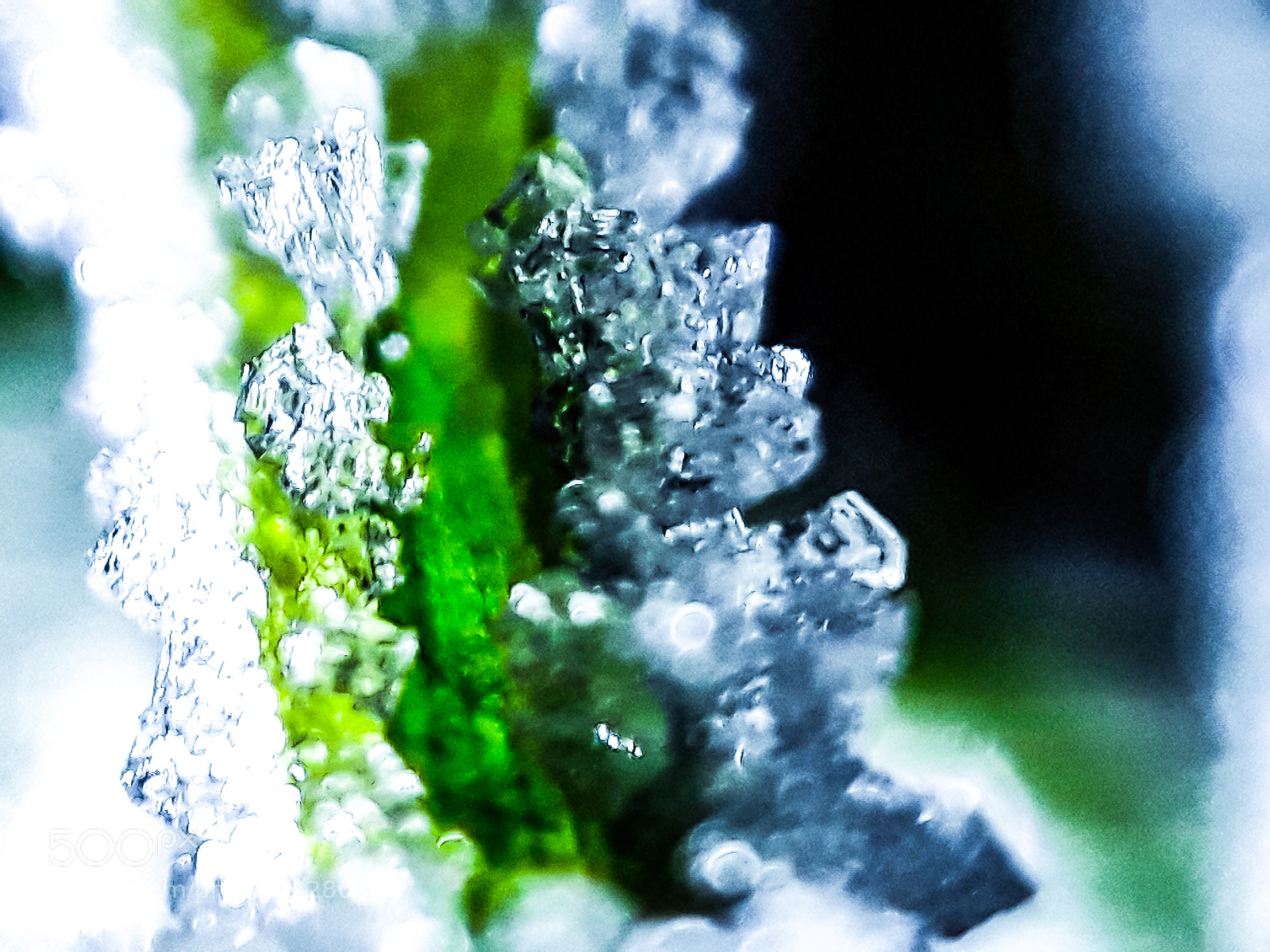 Samsung Galaxy J5 sample photo. Frost on grass photography