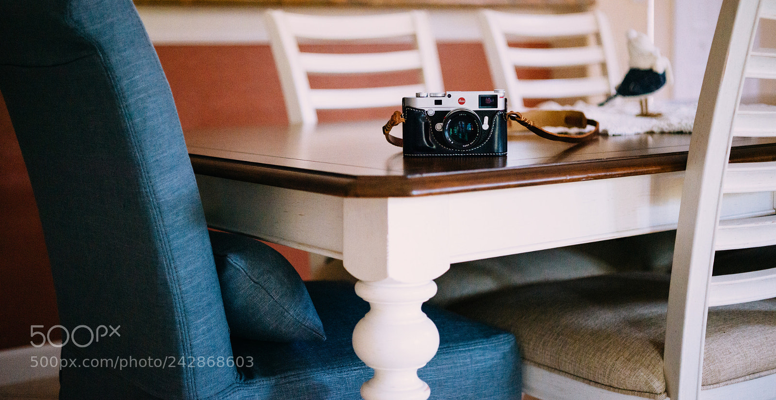 Nikon D800 sample photo. Dressed up photography