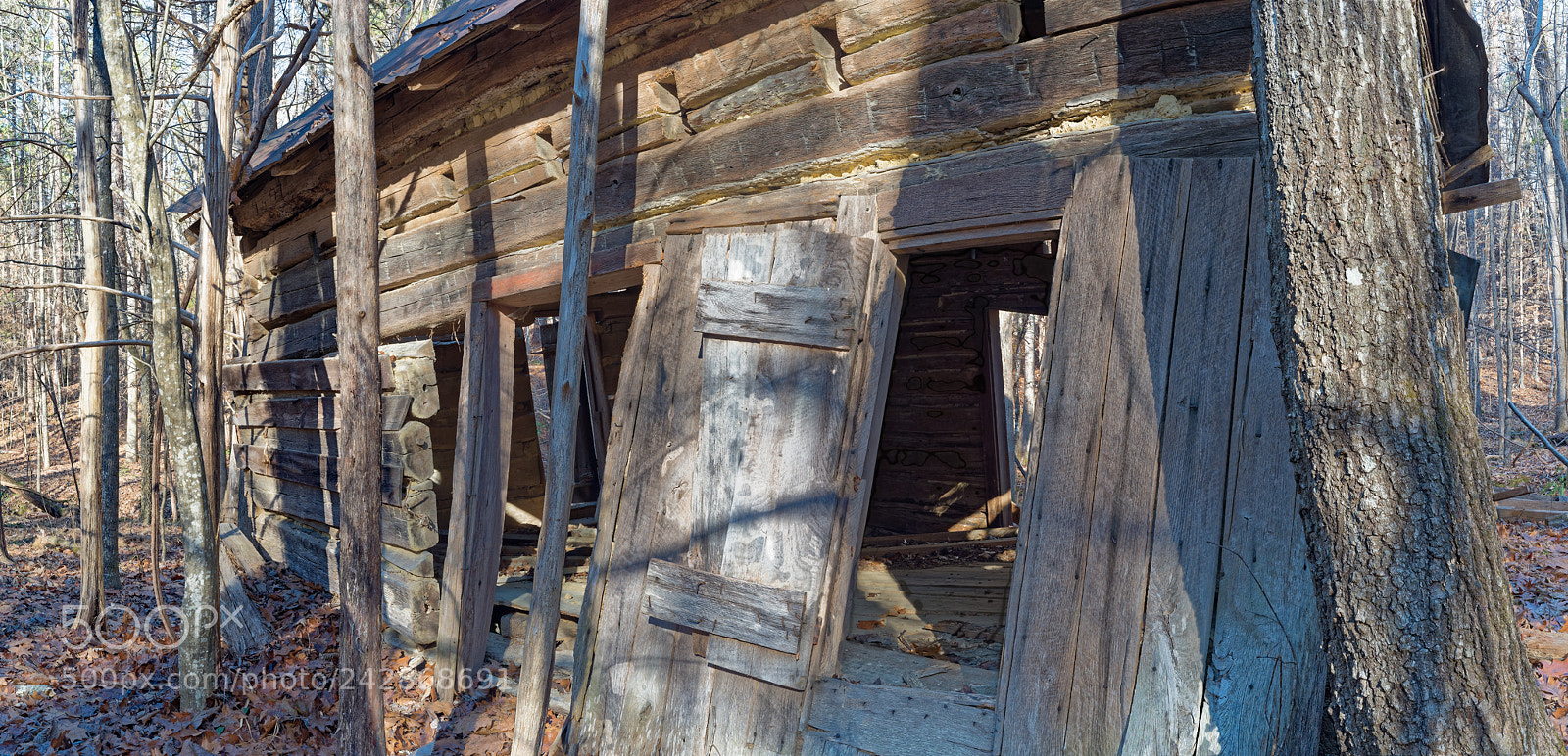Nikon D810 sample photo. Enoriverparkridgetraildurhamncllcjvuv7vyvhdbej photography