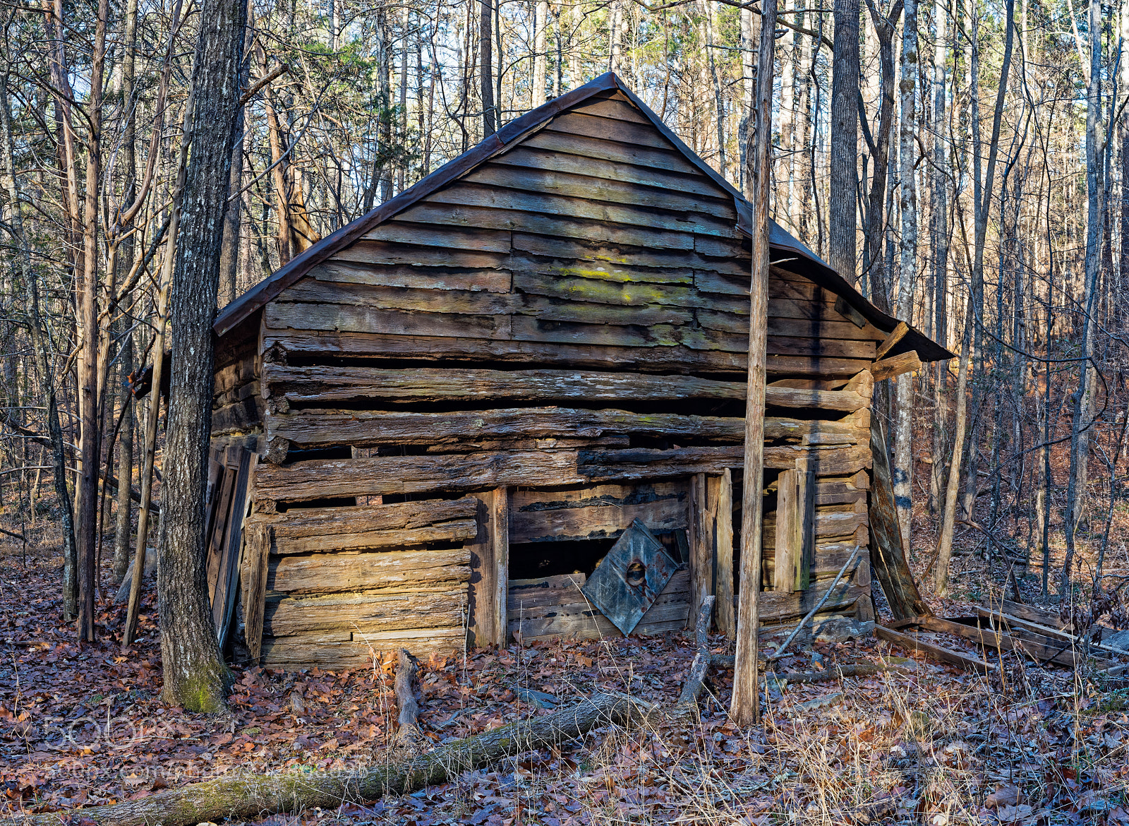 Nikon D810 sample photo. Enoriverparkridgetraildurhamnc pano8cmkkdhy photography