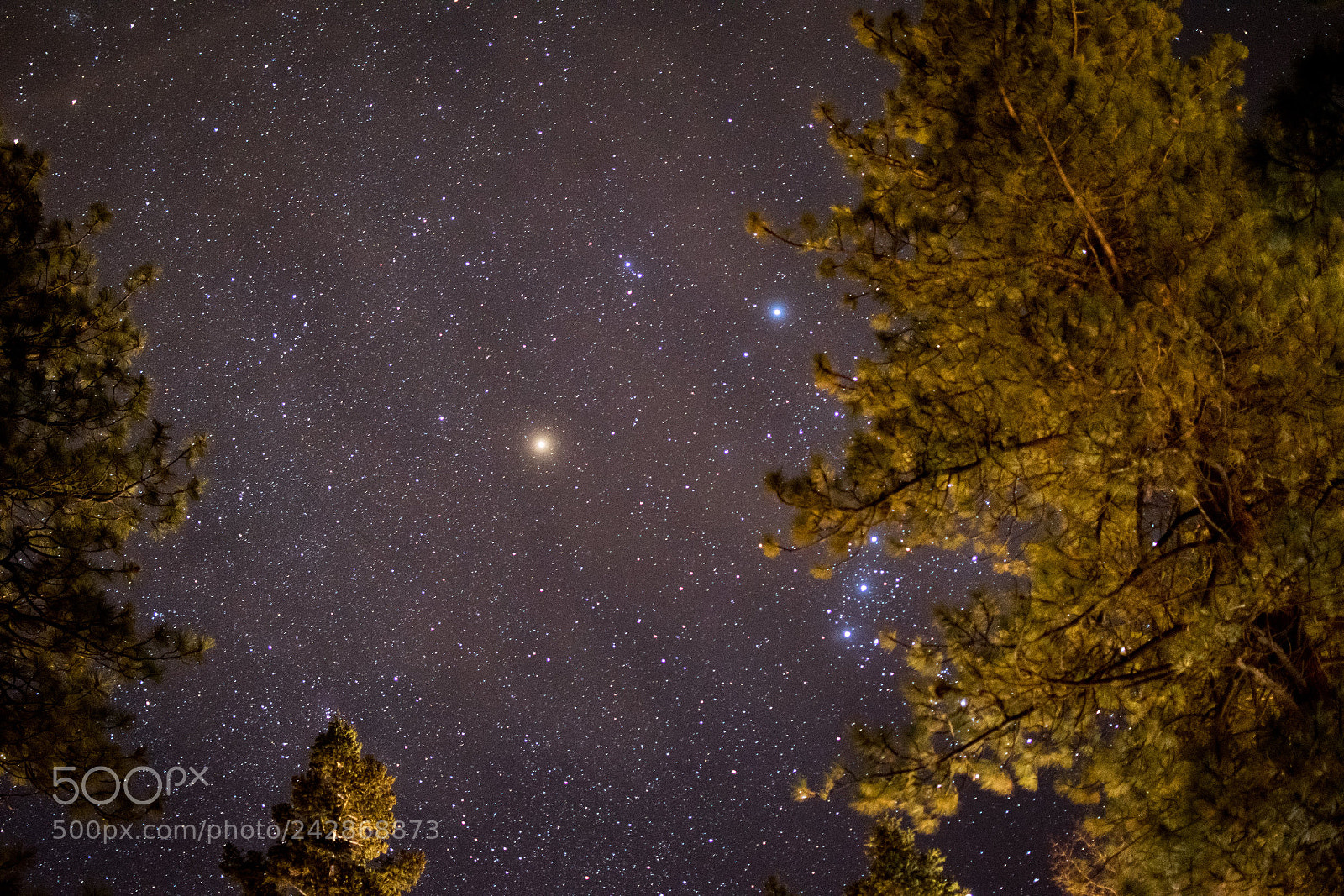 Nikon D5500 sample photo. Starry night! photography