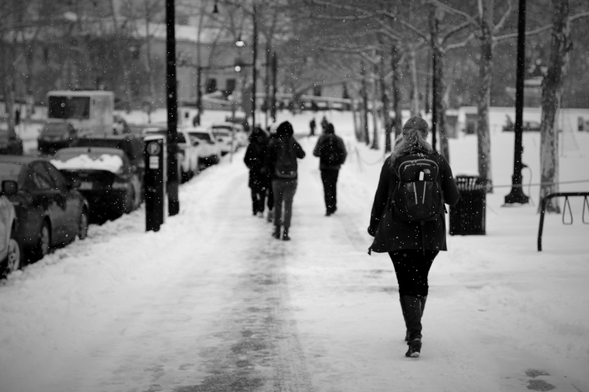 Canon EOS 80D + Canon EF 50mm F1.4 USM sample photo. Snowfall photography