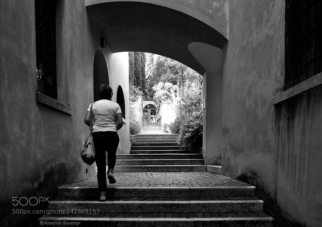 Nikon D90 sample photo. Al vittoriale photography