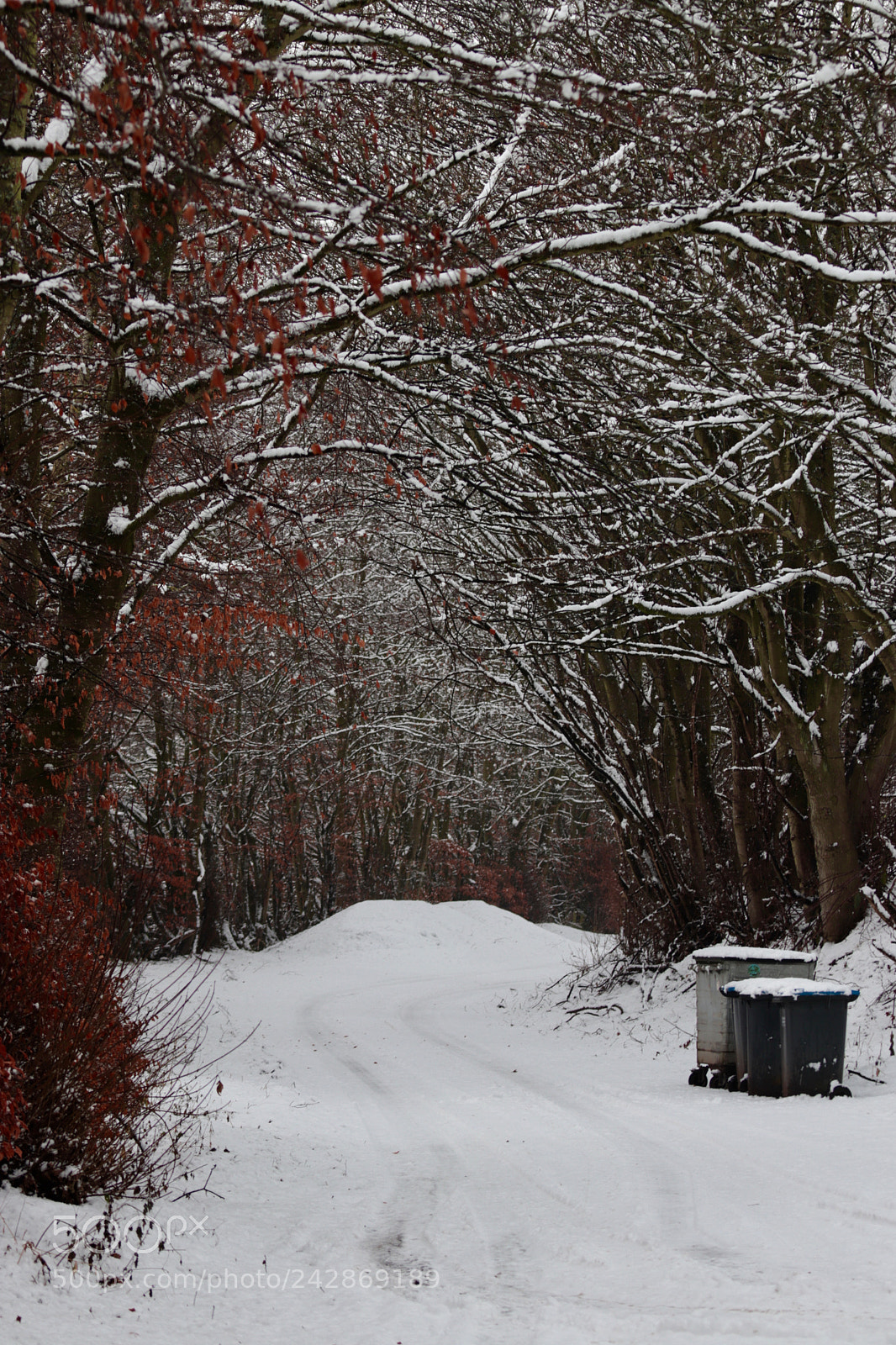 Canon EOS 800D (EOS Rebel T7i / EOS Kiss X9i) sample photo. Snowy road photography