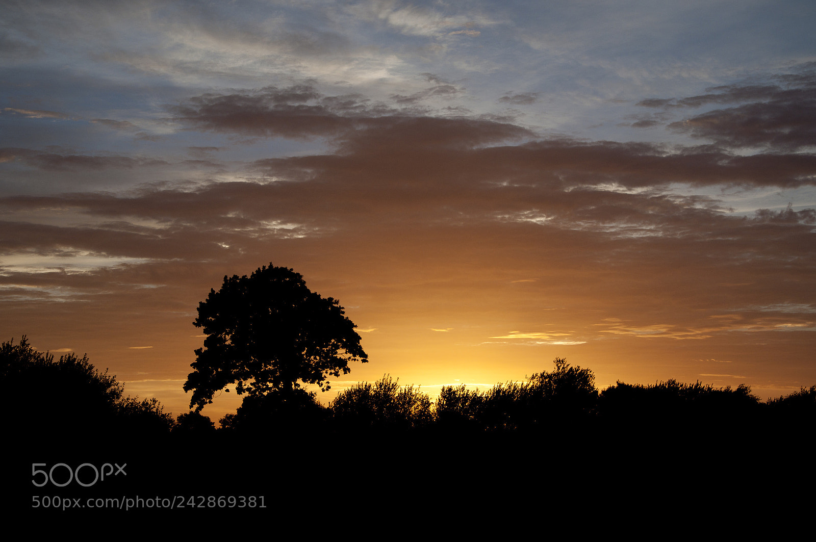 Nikon D90 sample photo. Sunset photography
