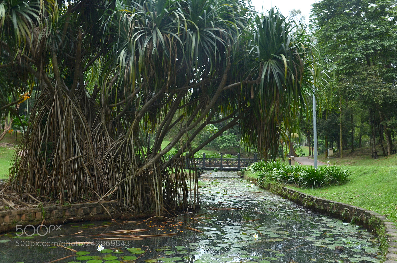 Nikon D5100 sample photo. Untitled photography