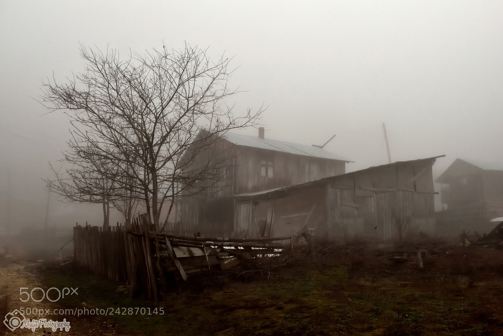 Nikon D810 sample photo. Foggy landscape photography