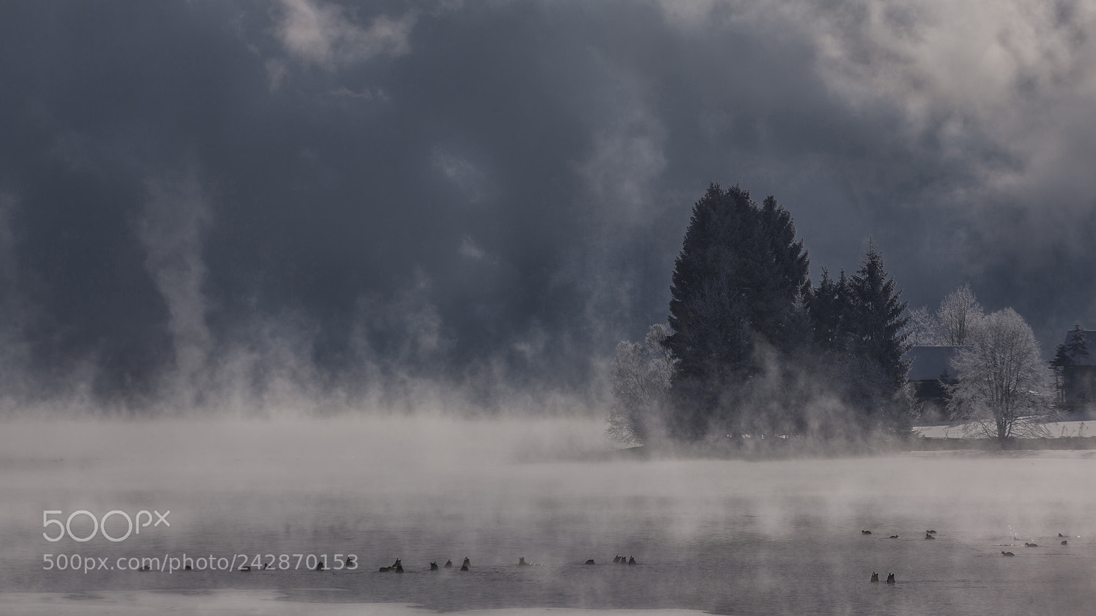 Canon EOS-1D X sample photo. Foggy morning- lake hallstatt photography