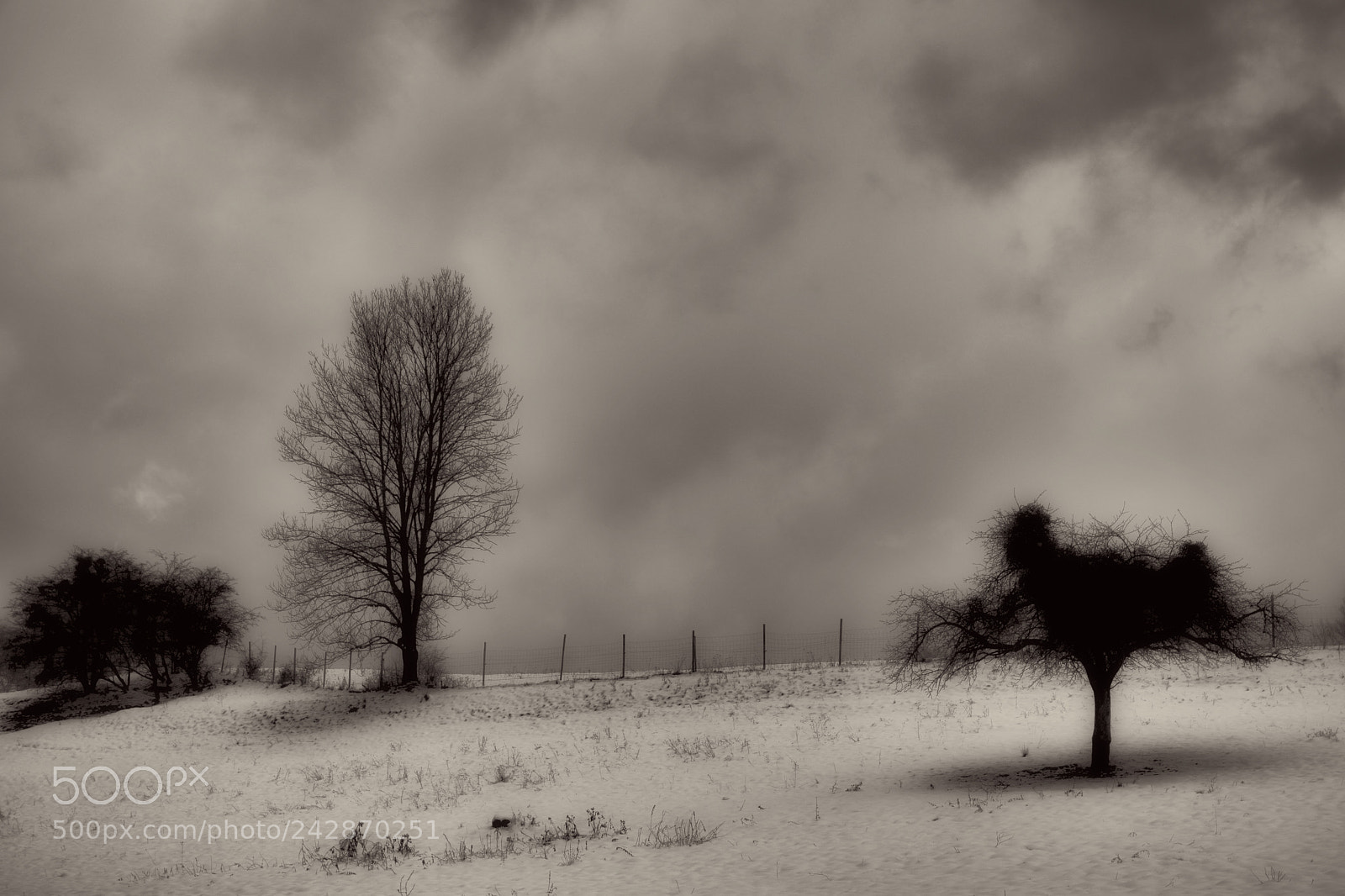 Nikon D7100 sample photo. Cold day photography