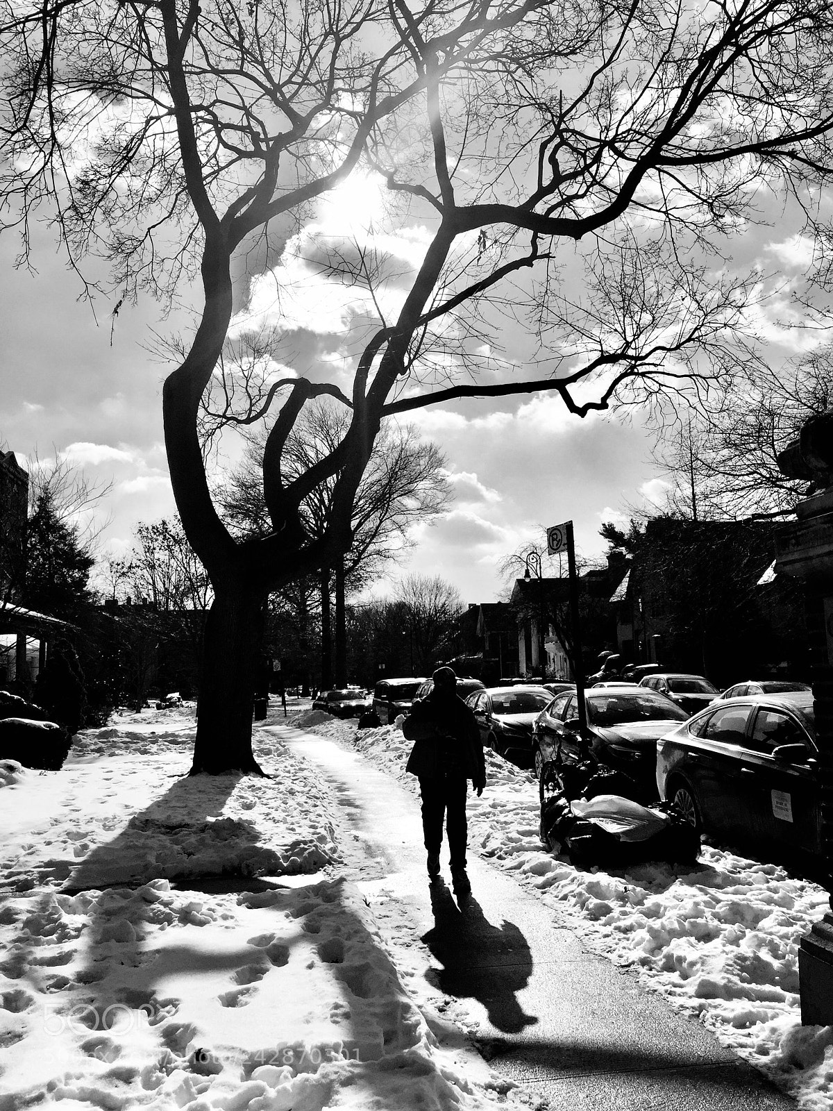 Apple iPhone 6 Plus sample photo. After the snow, a photography