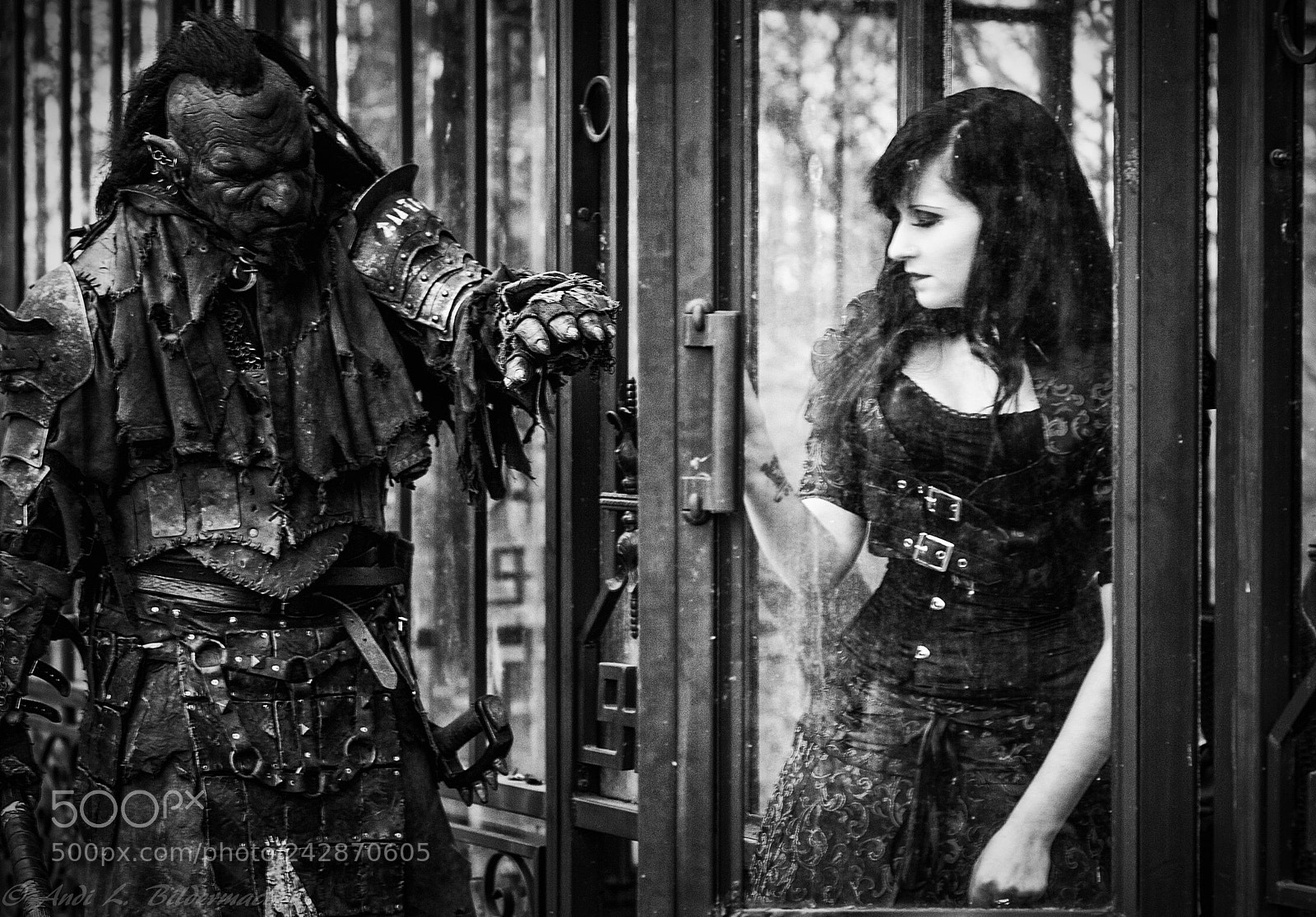 Nikon D700 sample photo. Beauty and the beast photography