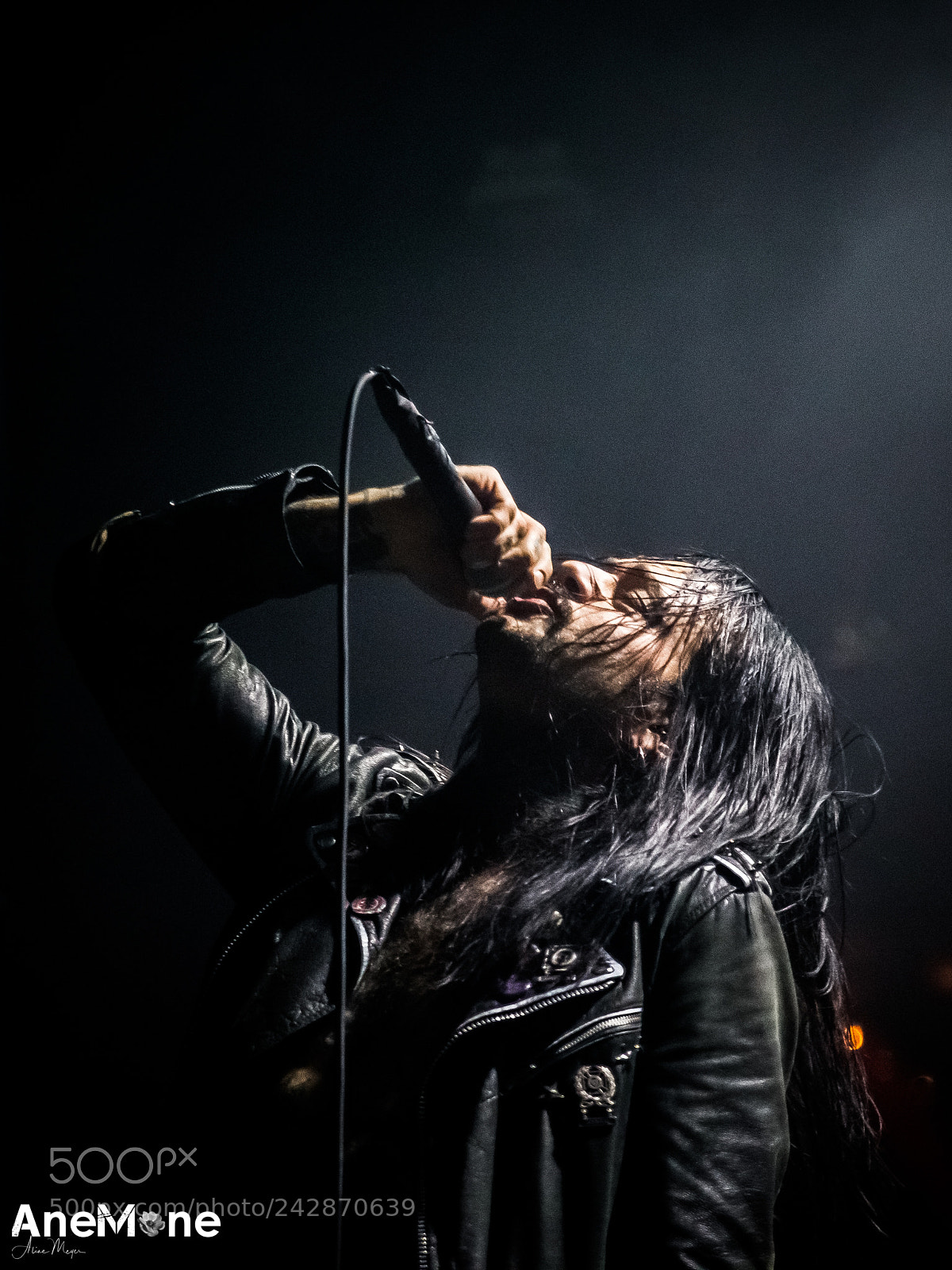 Canon EOS-1D X sample photo. The last band photography