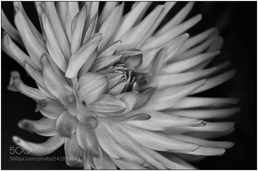 Nikon D90 sample photo. Shot in the dark photography