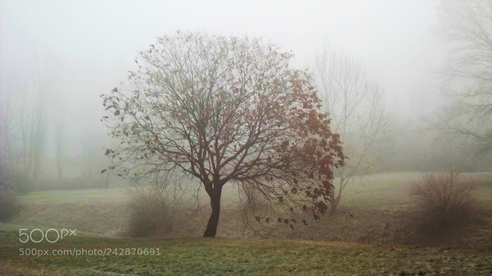 Fujifilm FinePix S2980 sample photo. Foggy day photography