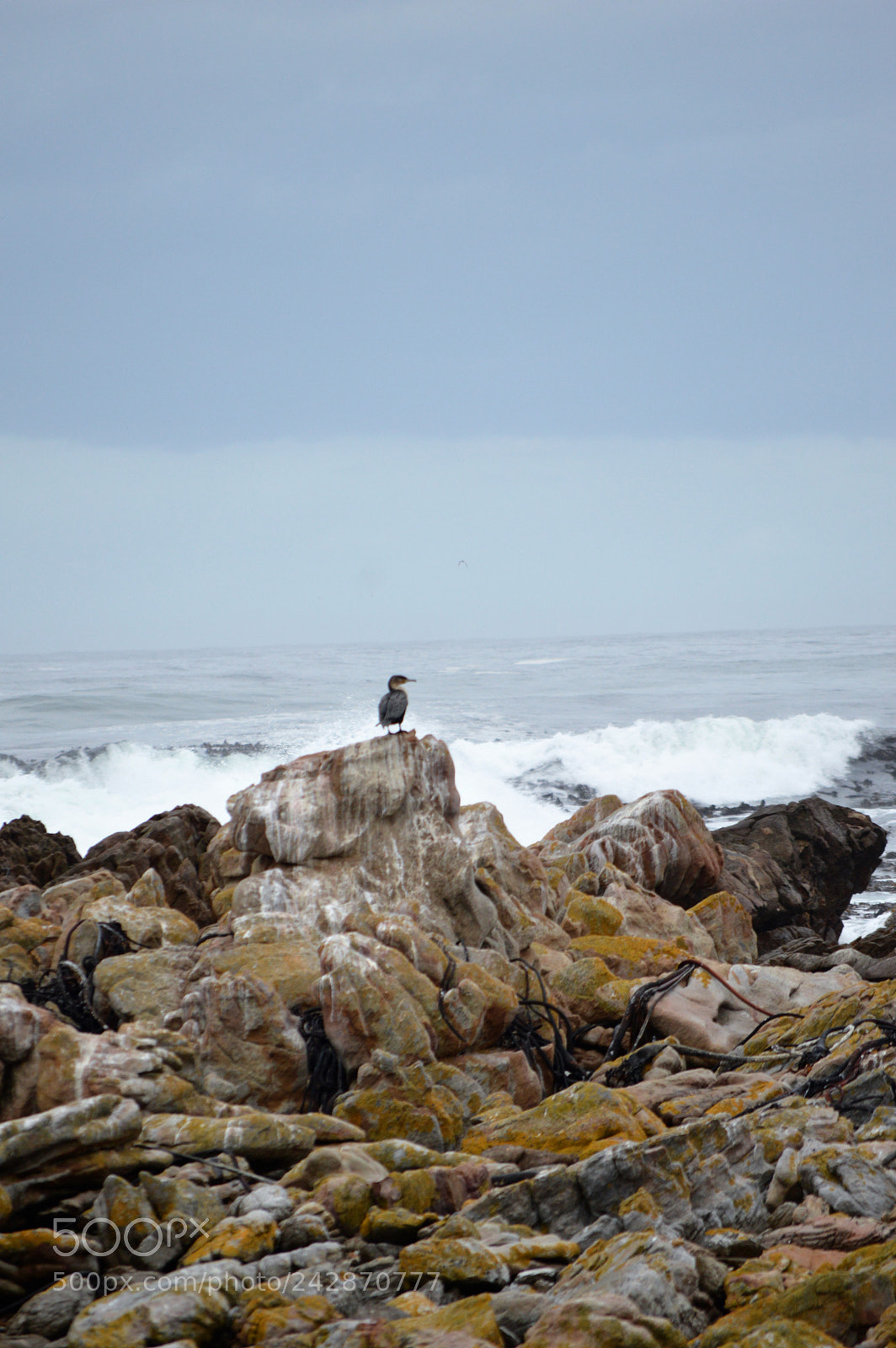 Nikon D3200 sample photo. () photography