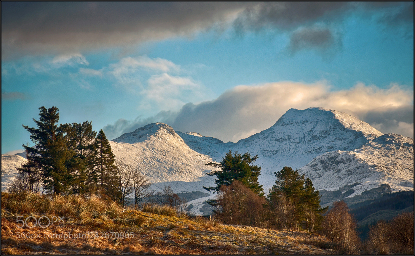 Nikon D7200 sample photo. Ben more photography