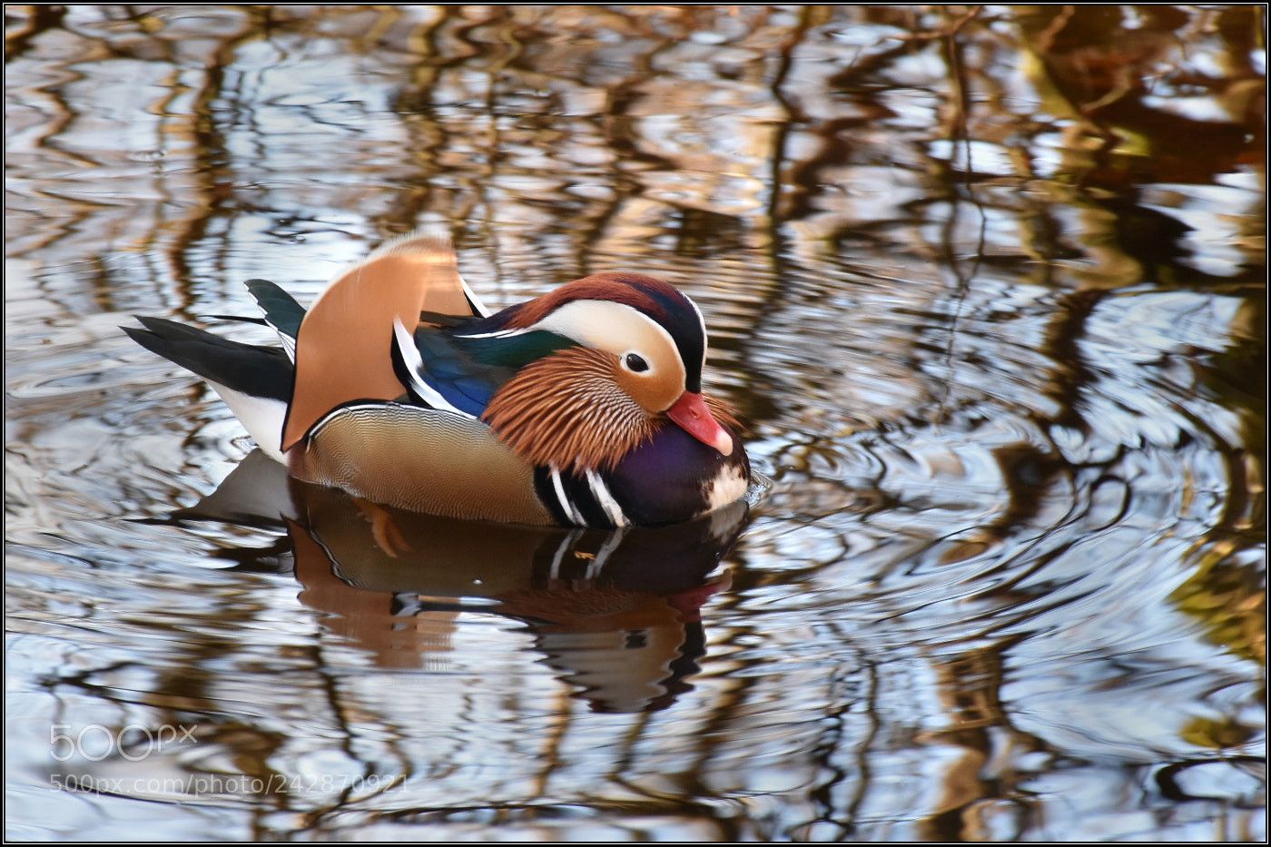 Nikon D7200 sample photo. Mandarin on the loch photography