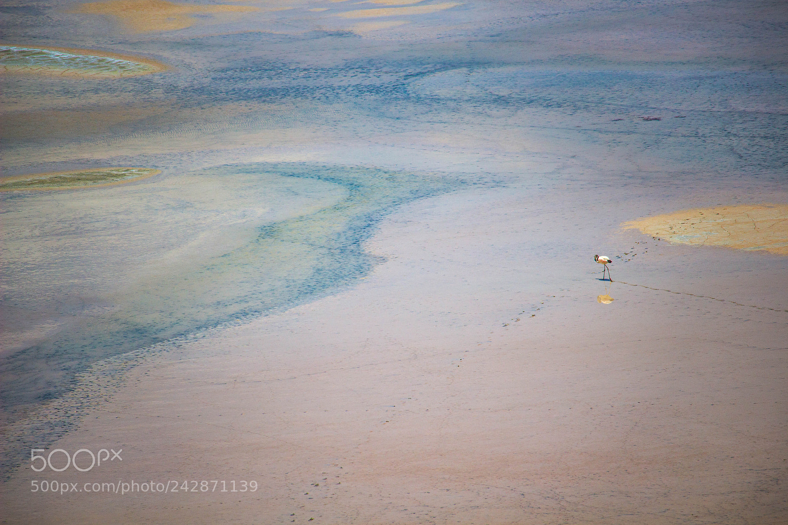 Canon EOS 100D (EOS Rebel SL1 / EOS Kiss X7) sample photo. Footprints through salt flats photography
