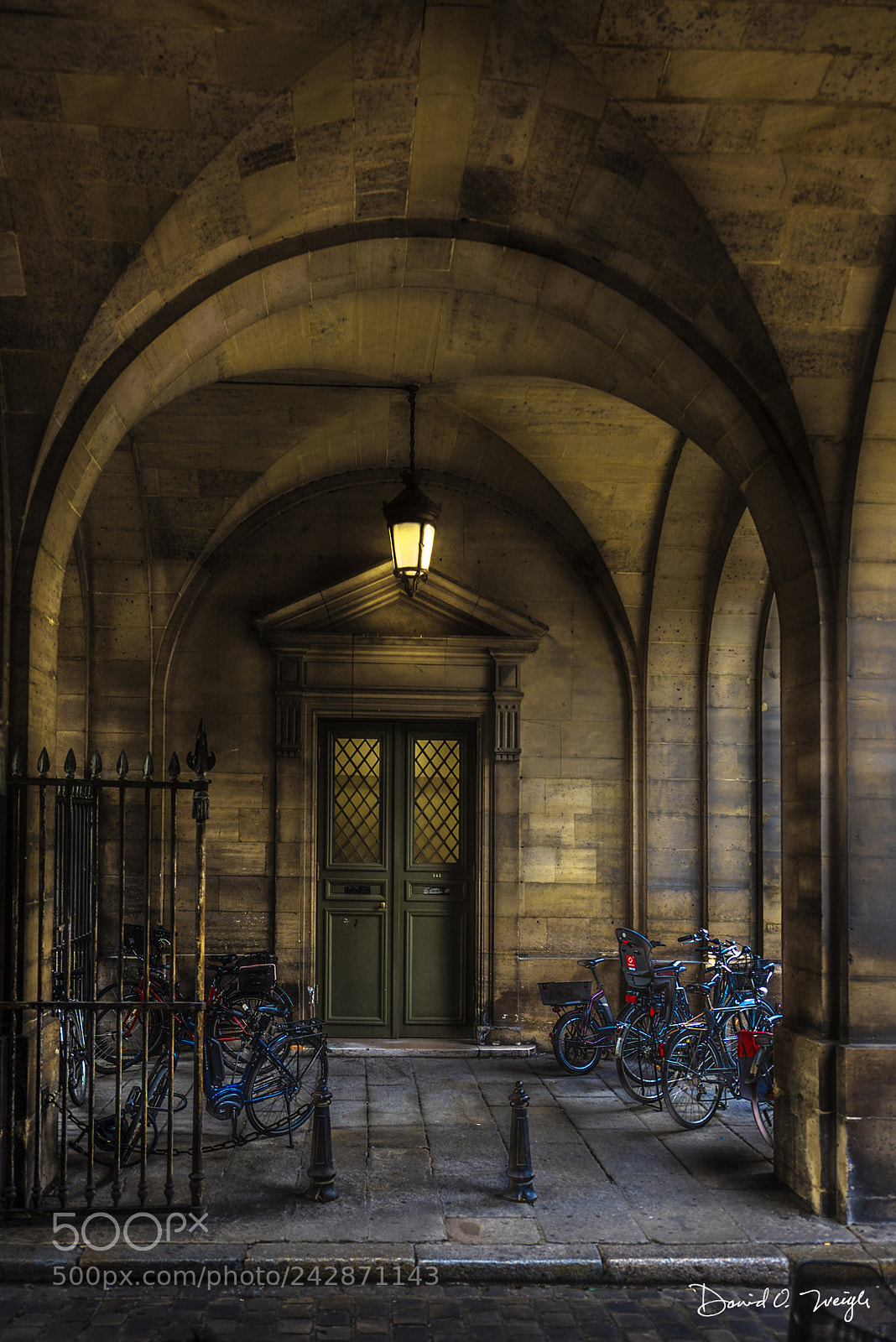 Nikon D810 sample photo. Side entry photography