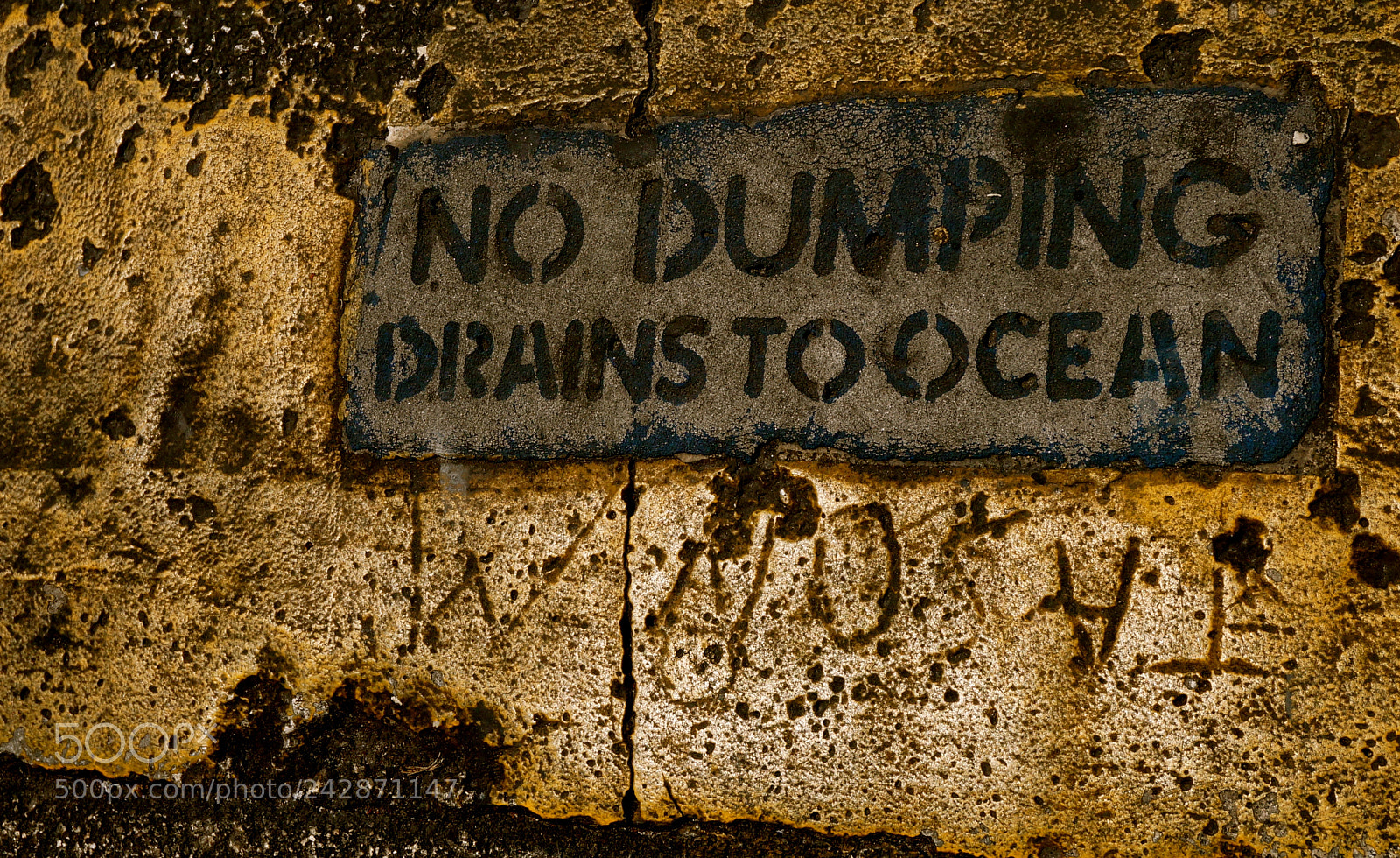 Sony Alpha NEX-3N sample photo. No dumping photography